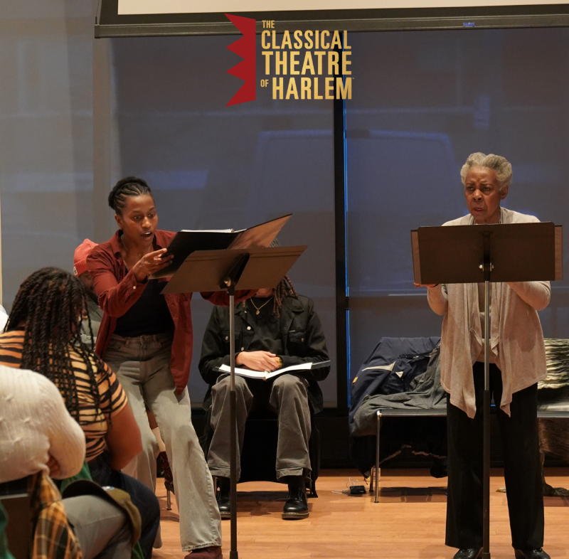 the magical south - Classical Theatre of Harlem - (@blushstudios.llc)