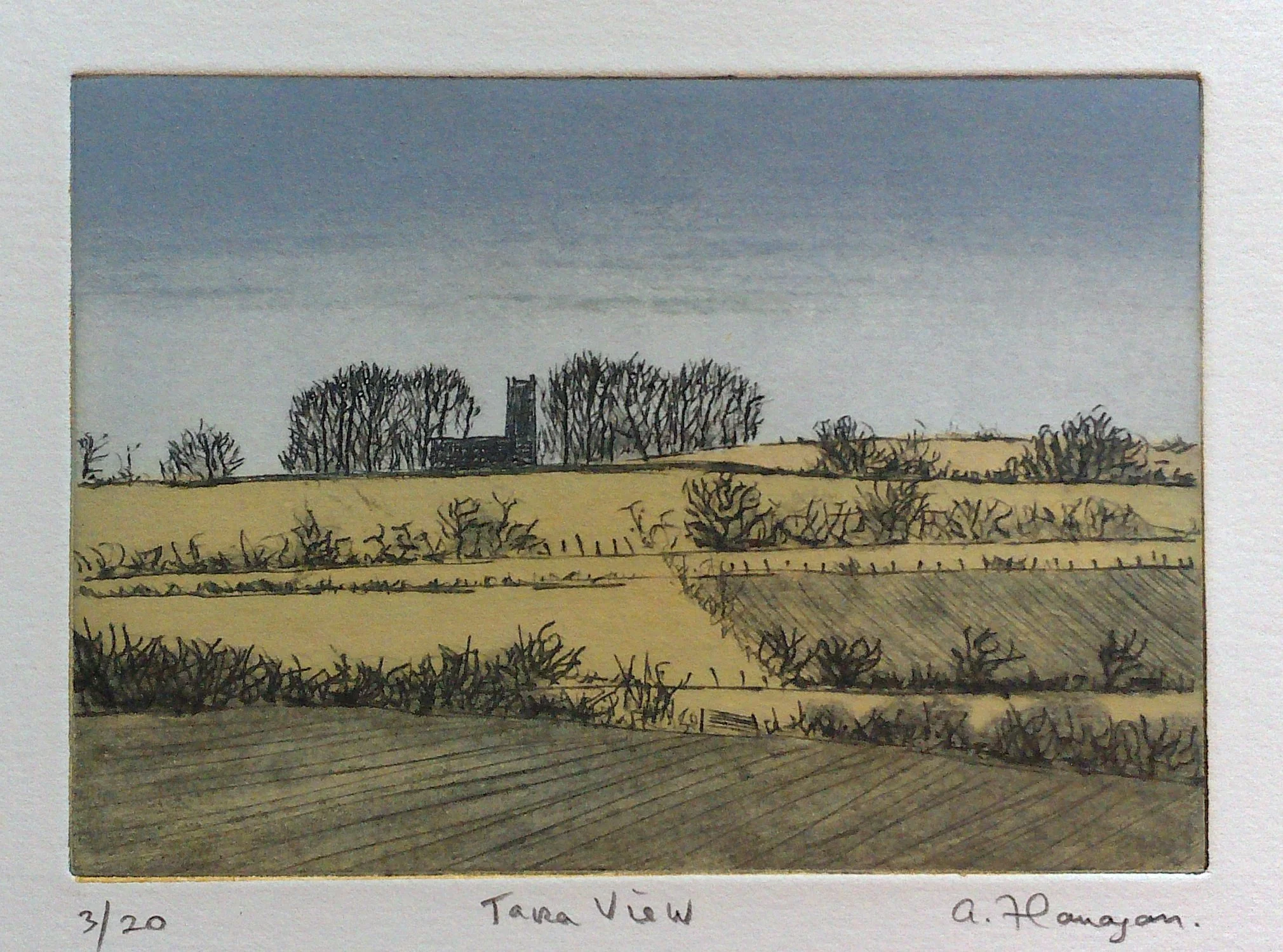 Tara View reduced.jpg