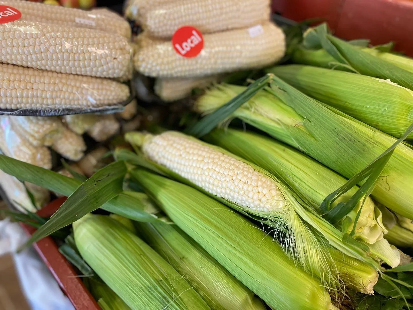 The Produce Place Square, PA