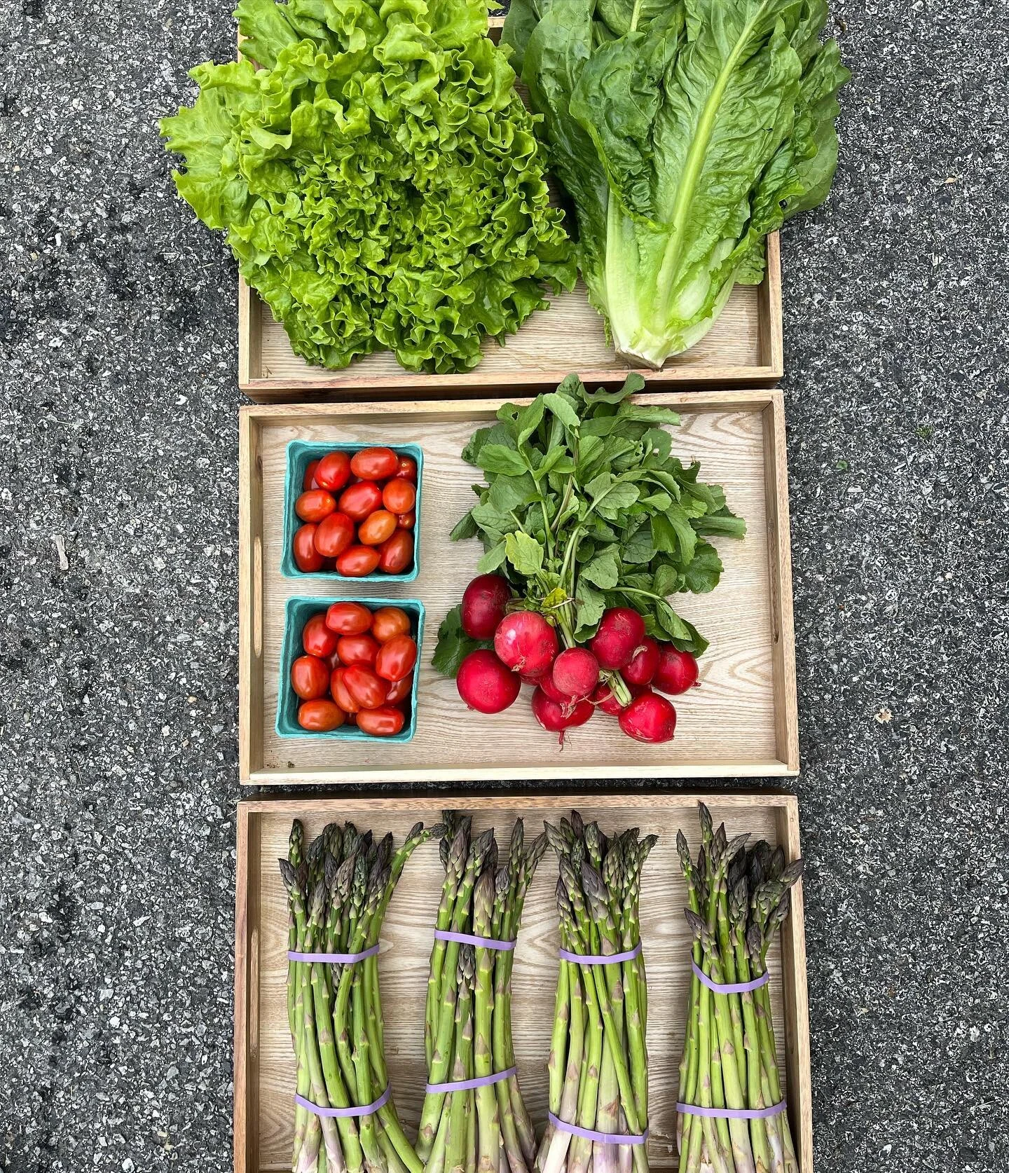 The Produce Place Square, PA