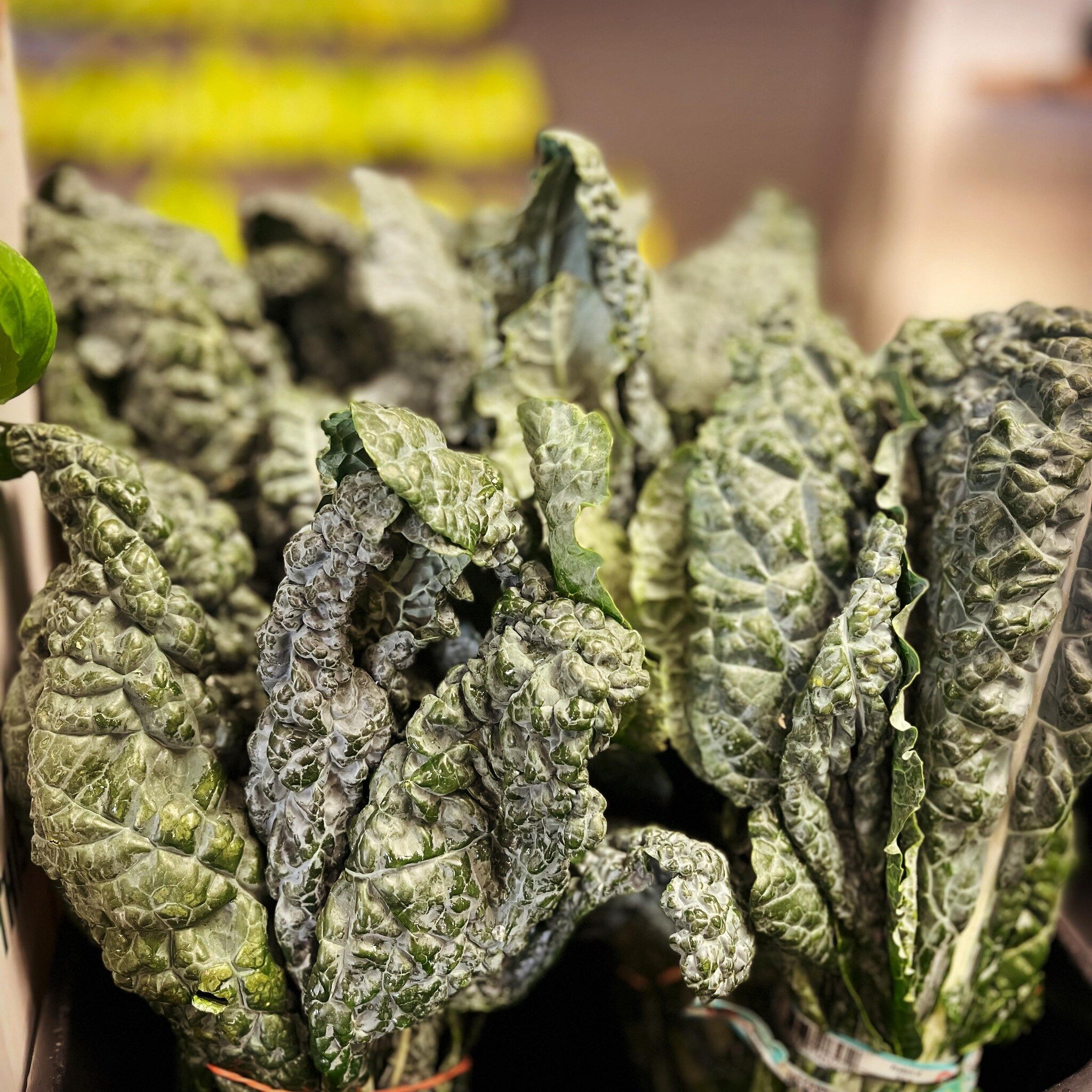 For those of you who asked&hellip;.Tuscan kale is in! #freshkale #tuscankale #theproduceplaceksq
