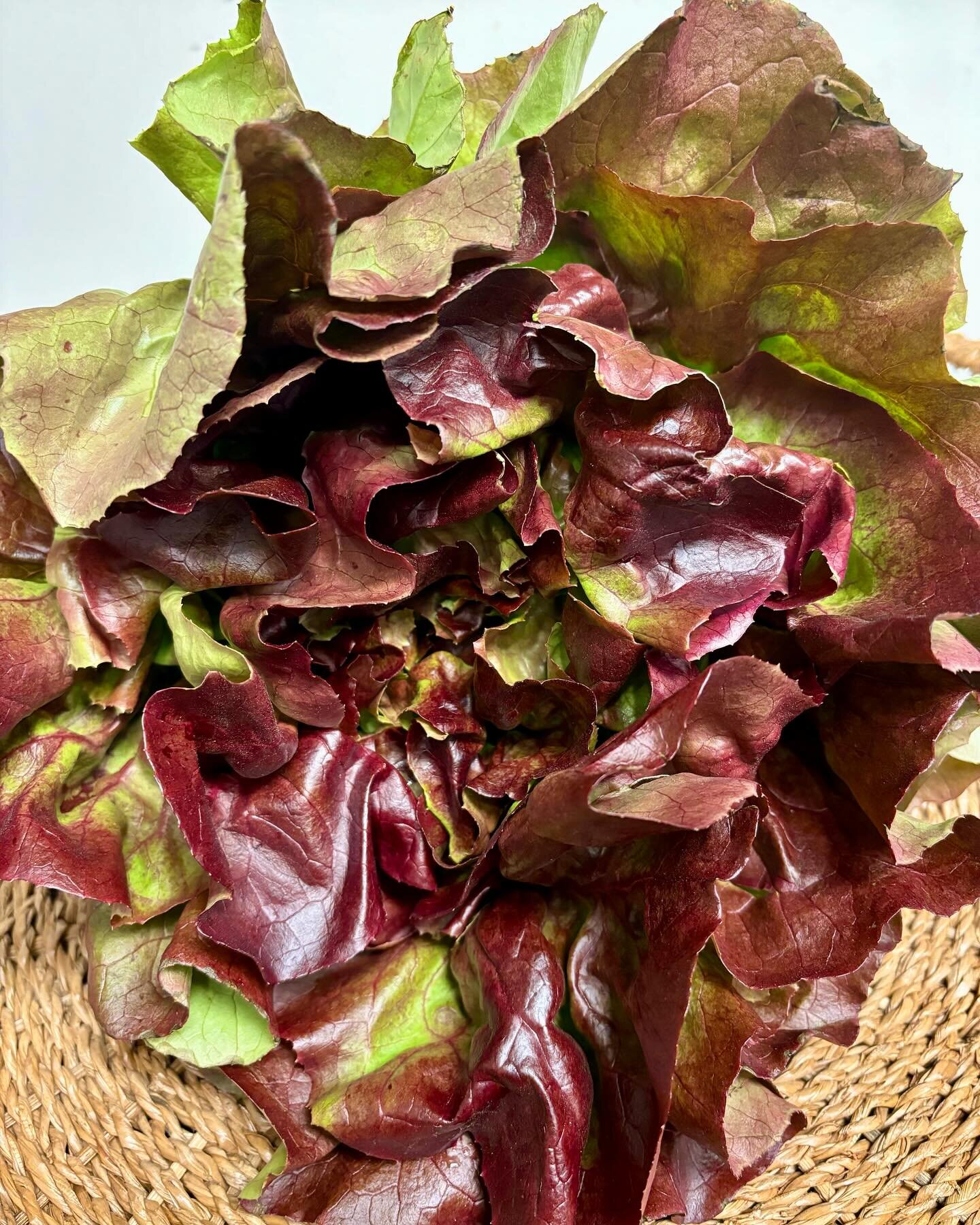 We have some LOCAL produce in our store this week including red bib lettuce and green leaf lettuce, radishes, and Swiss chard. 

We are open until 5 pm today. 

And it&rsquo;s not too late to order your salads, fruit bowls, and veggie trays for Easte