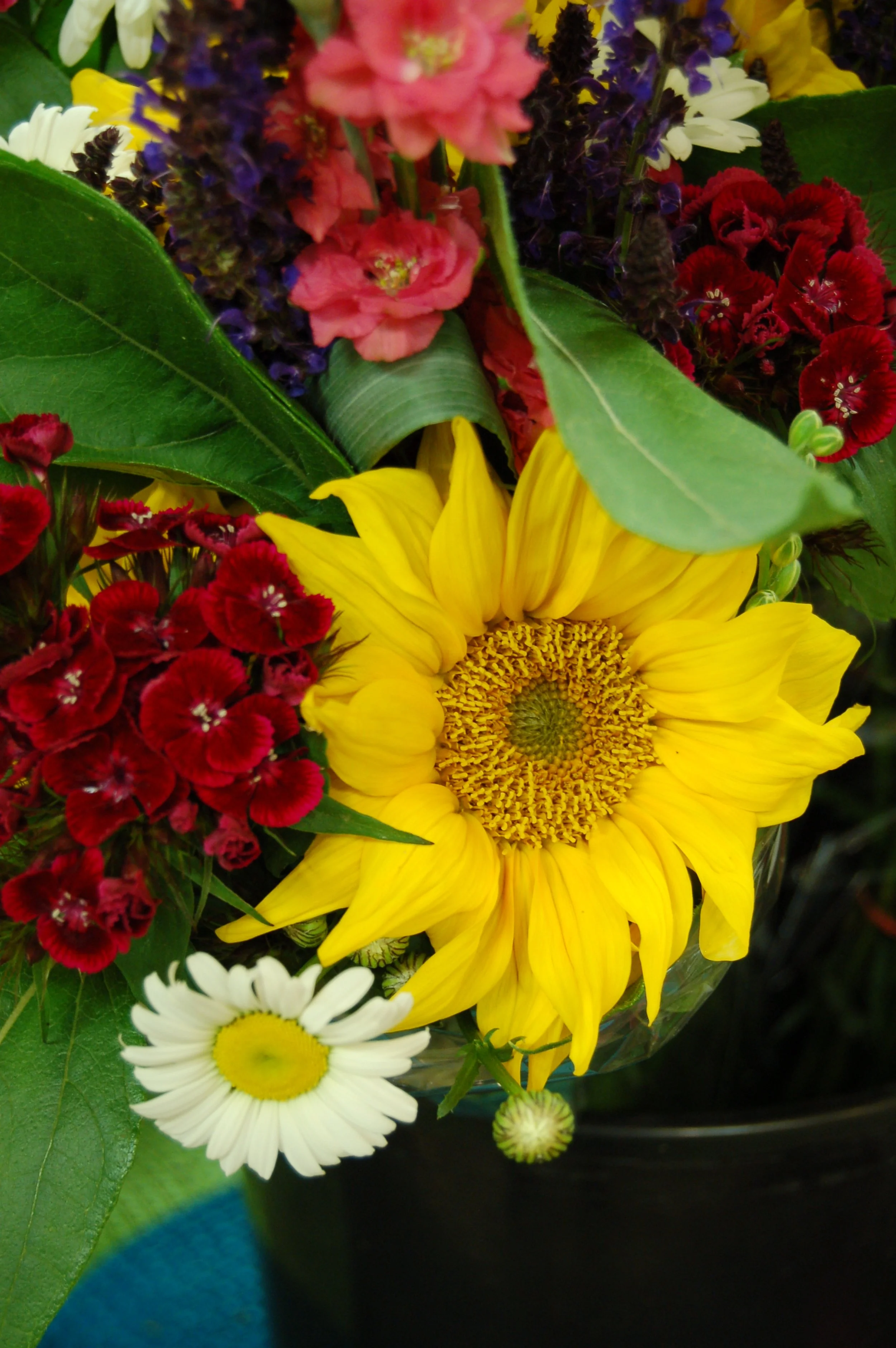 The Produce Place Square, PA
