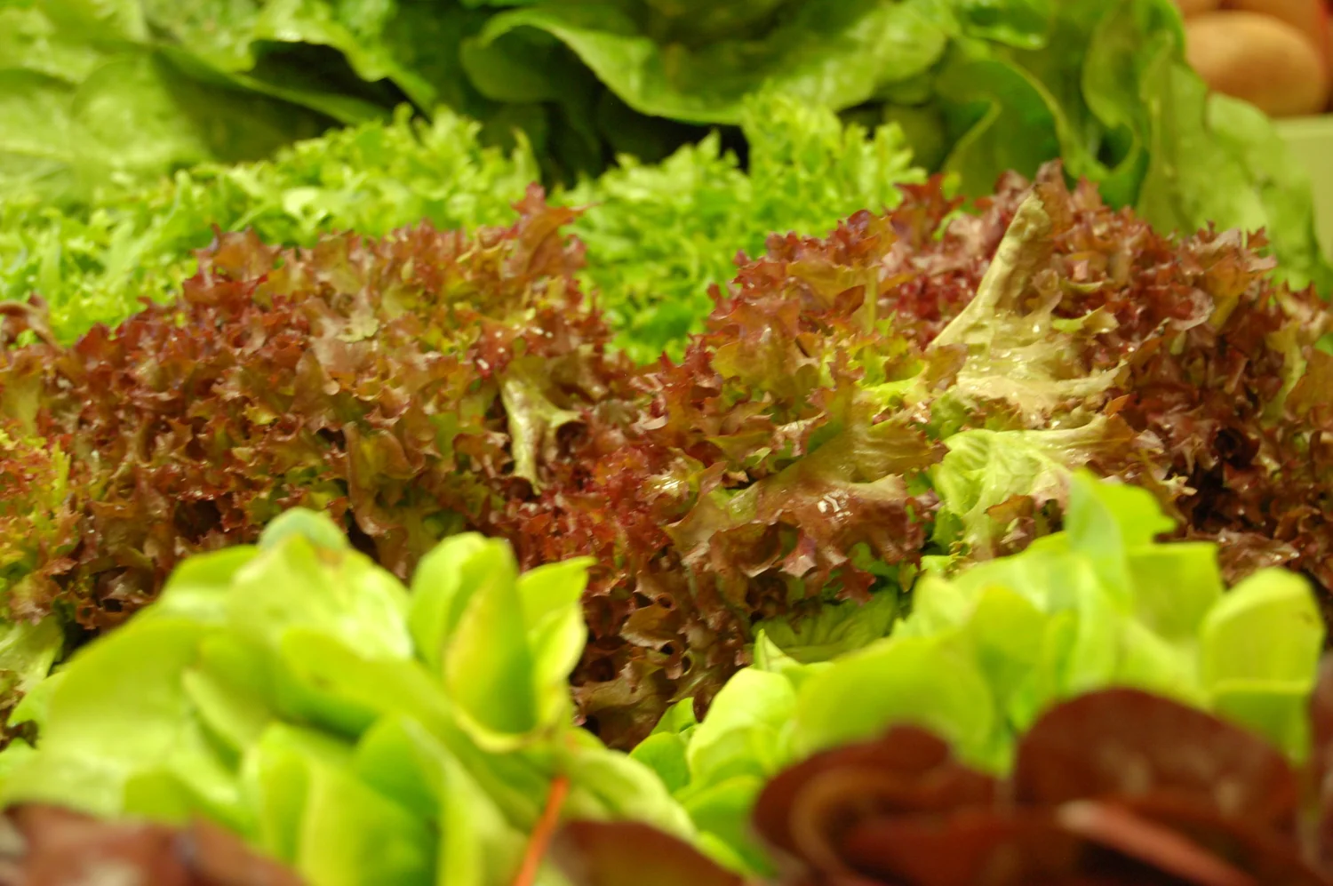 The Produce Place Square, PA