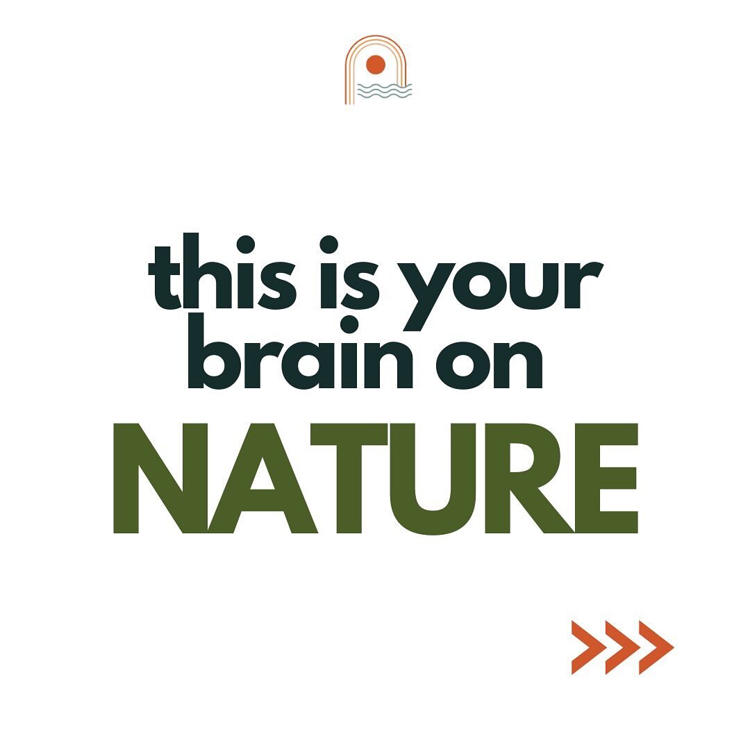 〰️ THE NATURE PYRAMID 〰️
I&rsquo;m sure you&rsquo;re all familiar with the food pyramid, but have you heard of the nature pyramid? Tanya Denckla-Cobb is a researcher on biophilia (the concept that we as humans are evolutionarily hard-wired to seek an