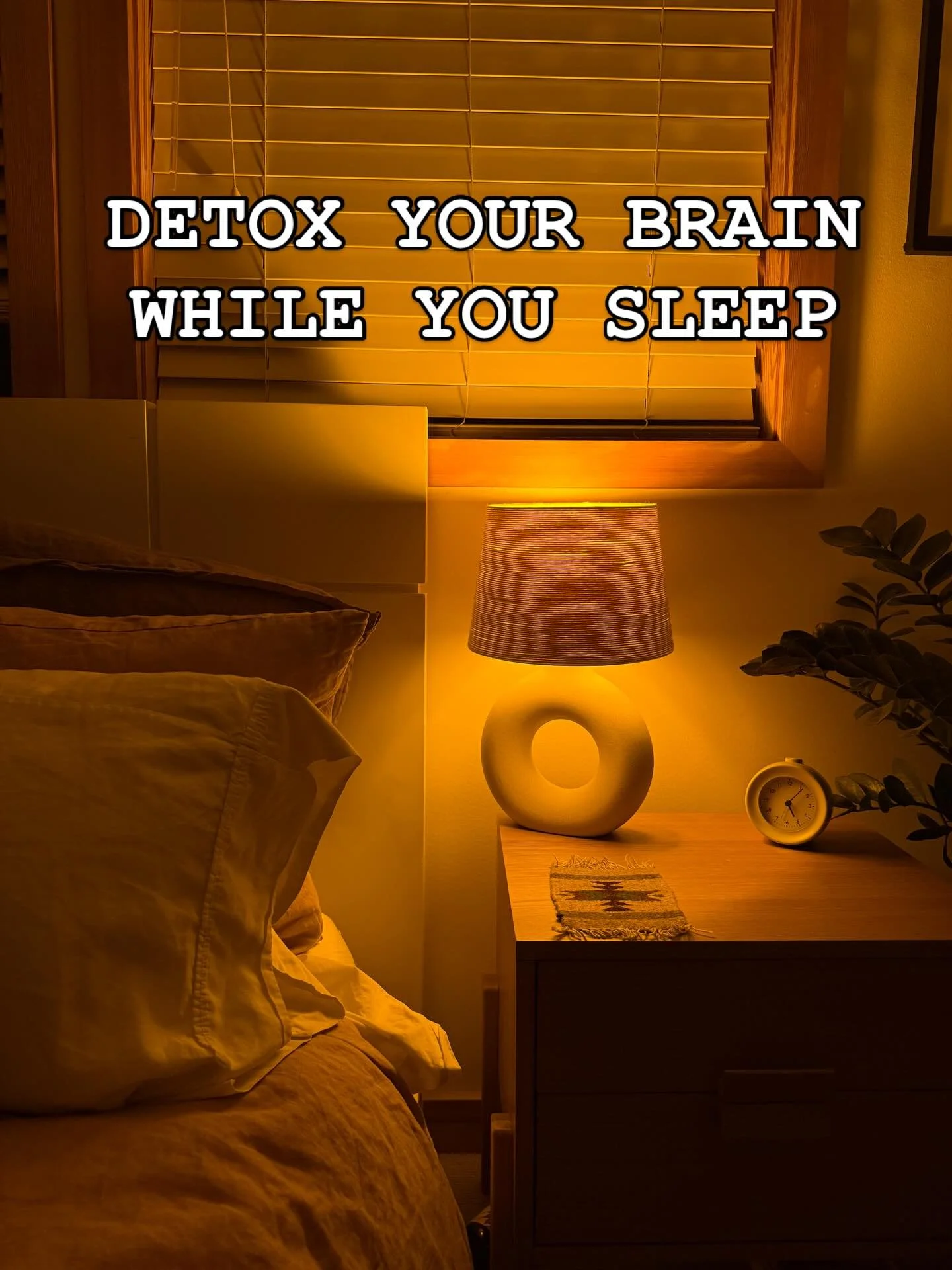 〰️ THE GLYMPHATIC SYSTEM 〰️
while you sleep, something truly amazing happens in your brain.
your glymphatic system (the brain&rsquo;s detoxification system) becomes highly active, clearing out metabolic waste and toxins that accumulate throughout the