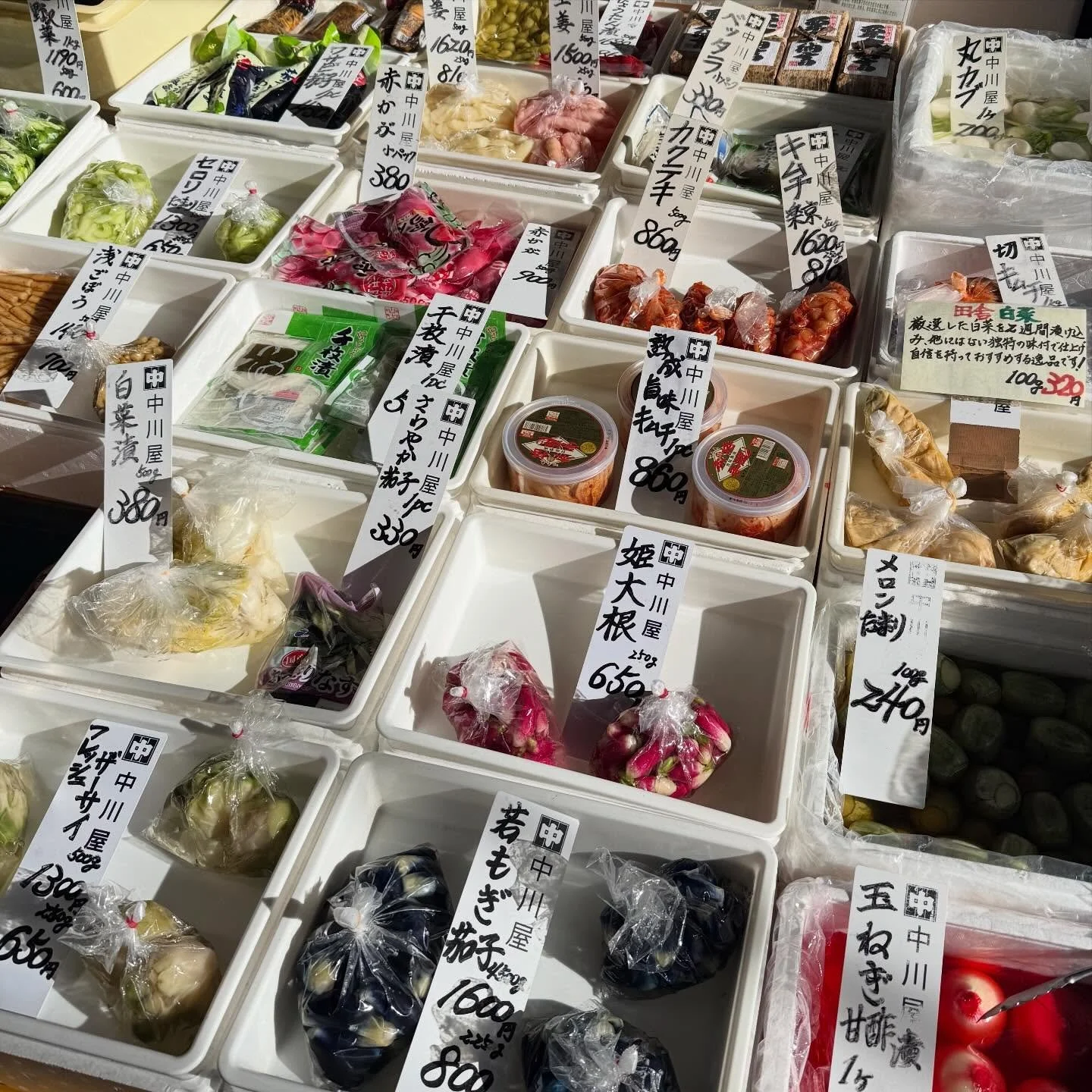 〰️ FERMENTED FOODS 〰️
look at all of those PICKLES! 

here&rsquo;s what I love about them: fermented foods are one of nature&rsquo;s most elegant solutions for both gut health and longevity. when you eat sauerkraut, kimchi, kefir, or miso, you&rsquo;