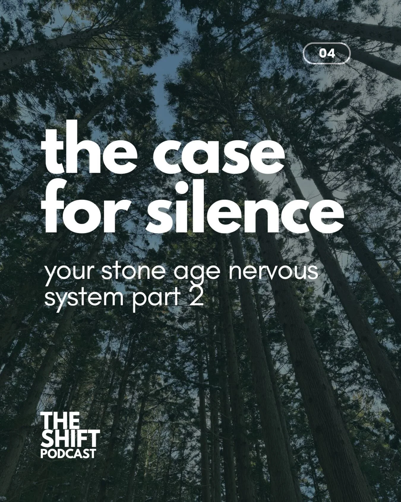 when was the last time you experienced true, uninterrupted silence? 🌳🤫

link in bio