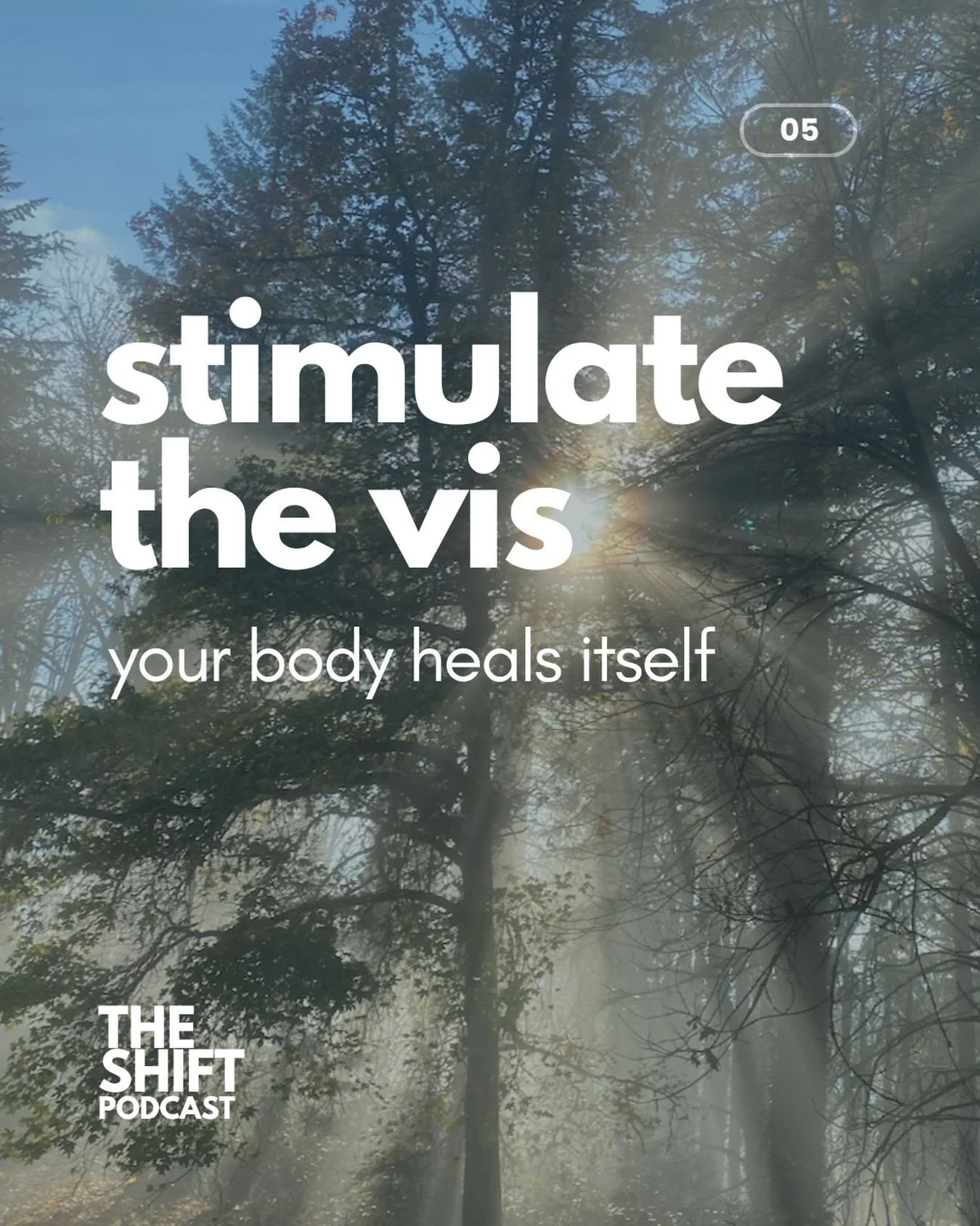 I have never healed a single person in my career and I never will. you, my friend, are the healer. your body is the healer. 

link in bio