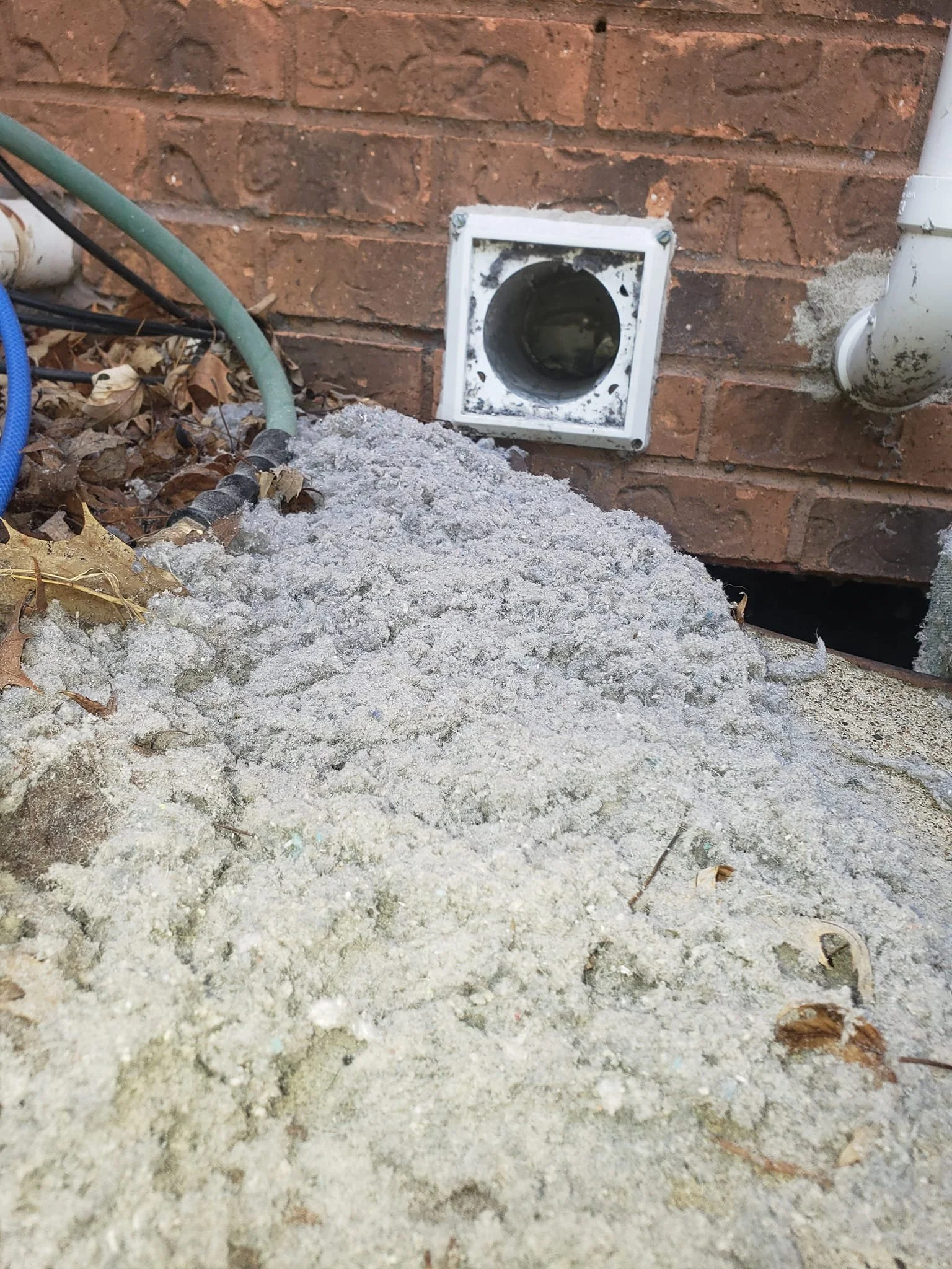 exterior house pile of lint