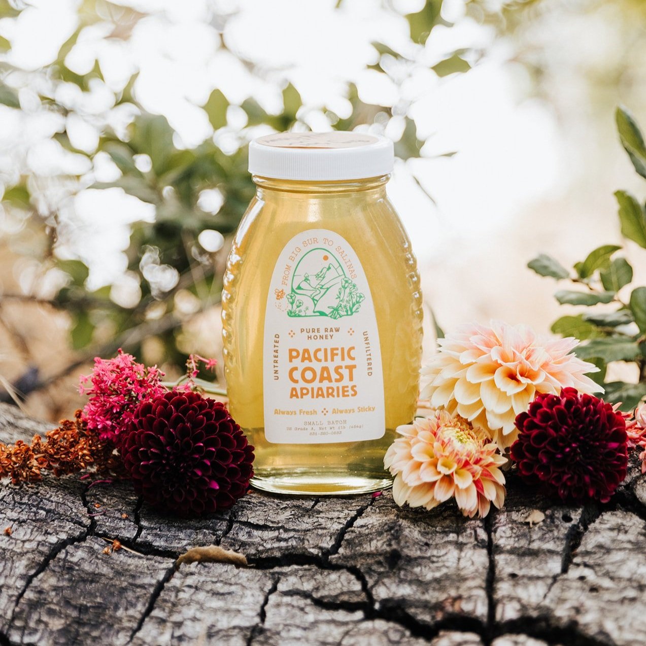 PACIFIC_COAST_APIARIES_HONEY_2023_0003_websize.jpg