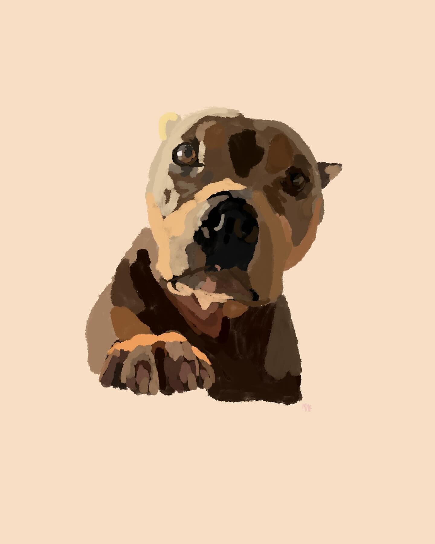 Miss peaches - queen of the rescues 

Come on! Look at that face. Raising money and awareness for all the babies waiting to find their forever houses. 

#illustrationartist #illustratragram #graphicdesign #illustration_daily #illustratorsofinstagram 