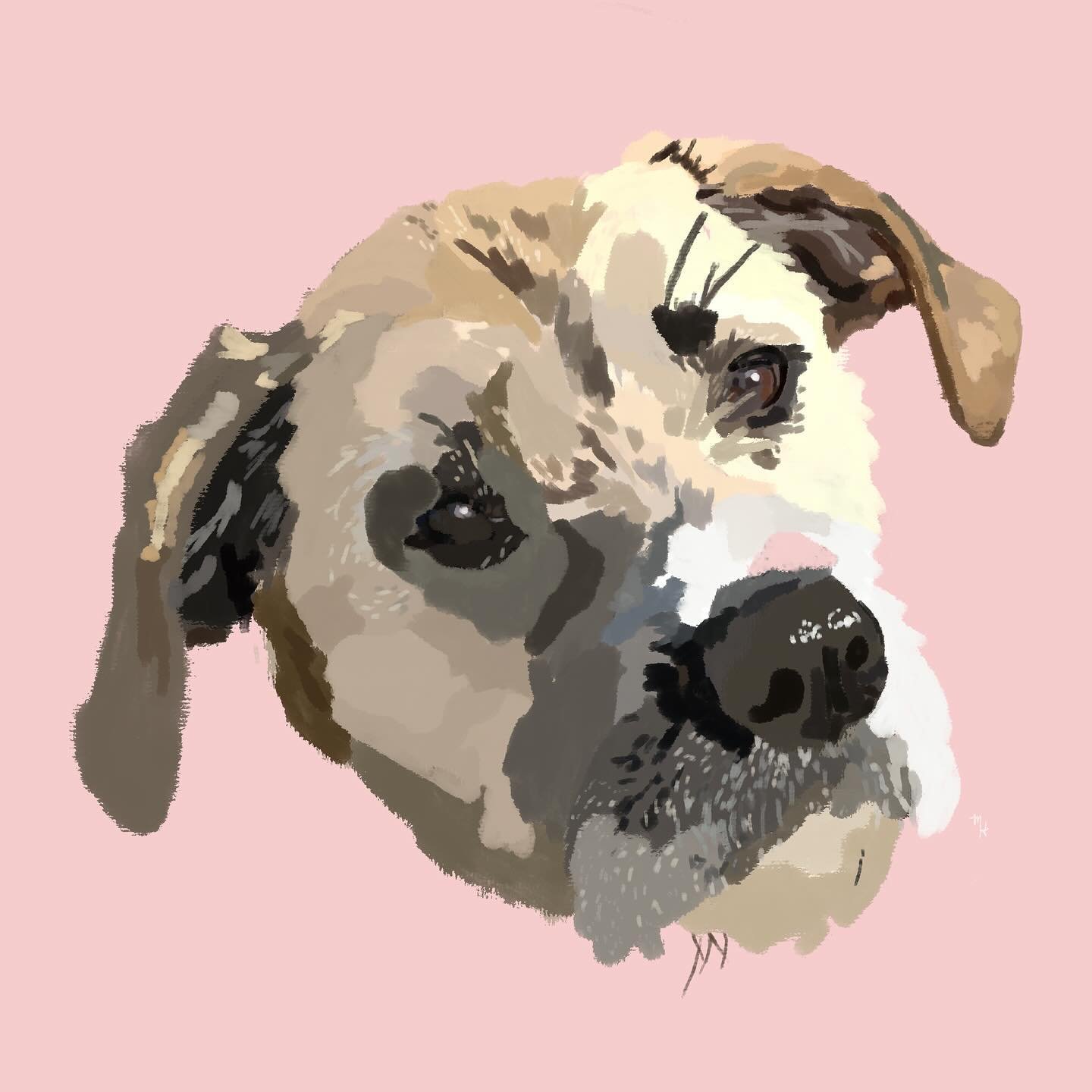 Pup in pink ❤️

#illustrationartist #illustratragram #graphicdesign #illustration_daily #illustratorsofinstagram #illustrationofthrday #illustration_art #illustrationsketch #artistofig #artistoninsta #artistsupportartists #artist_sharing #art_lover #