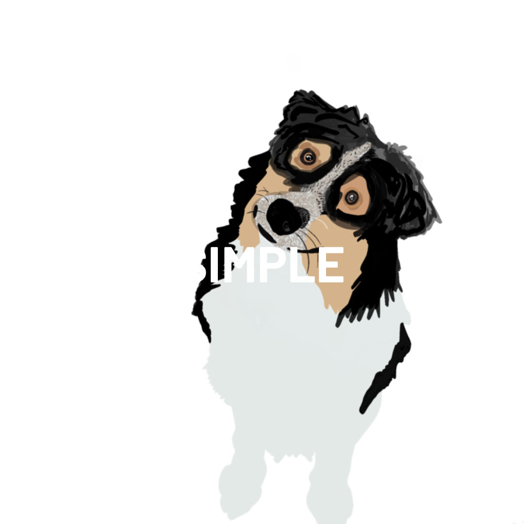 031F74B9-08B0-4AC3-A508-CE8D600B7A1F.png