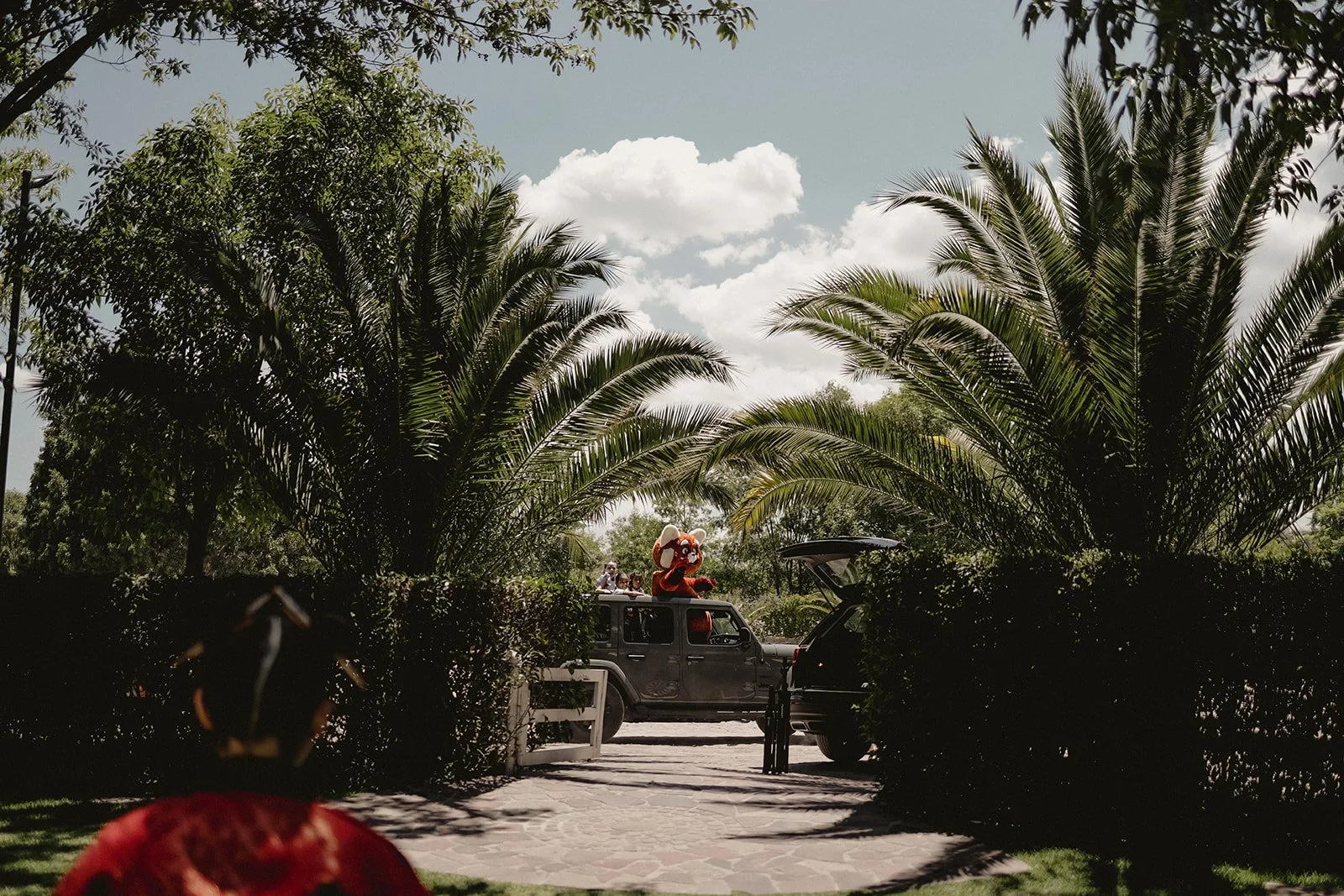 Montaje Iran __ 2022-06-03 __ 00101.jpg