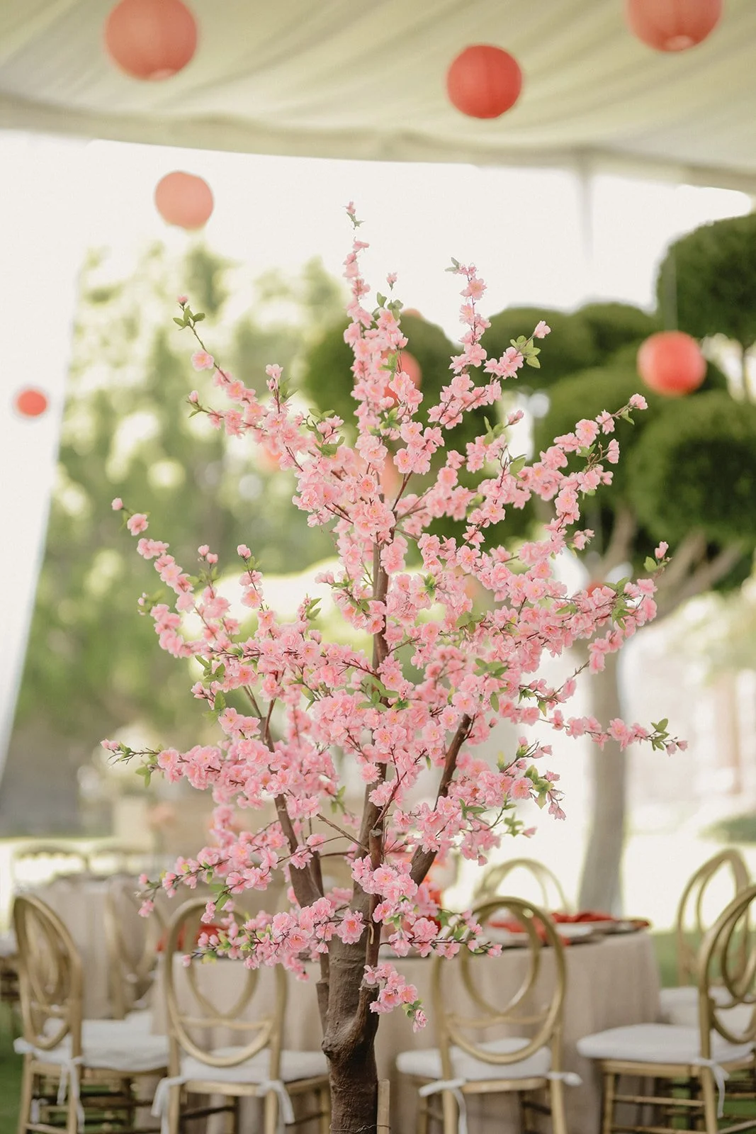 Montaje Iran __ 2022-06-03 __ 00080.jpg