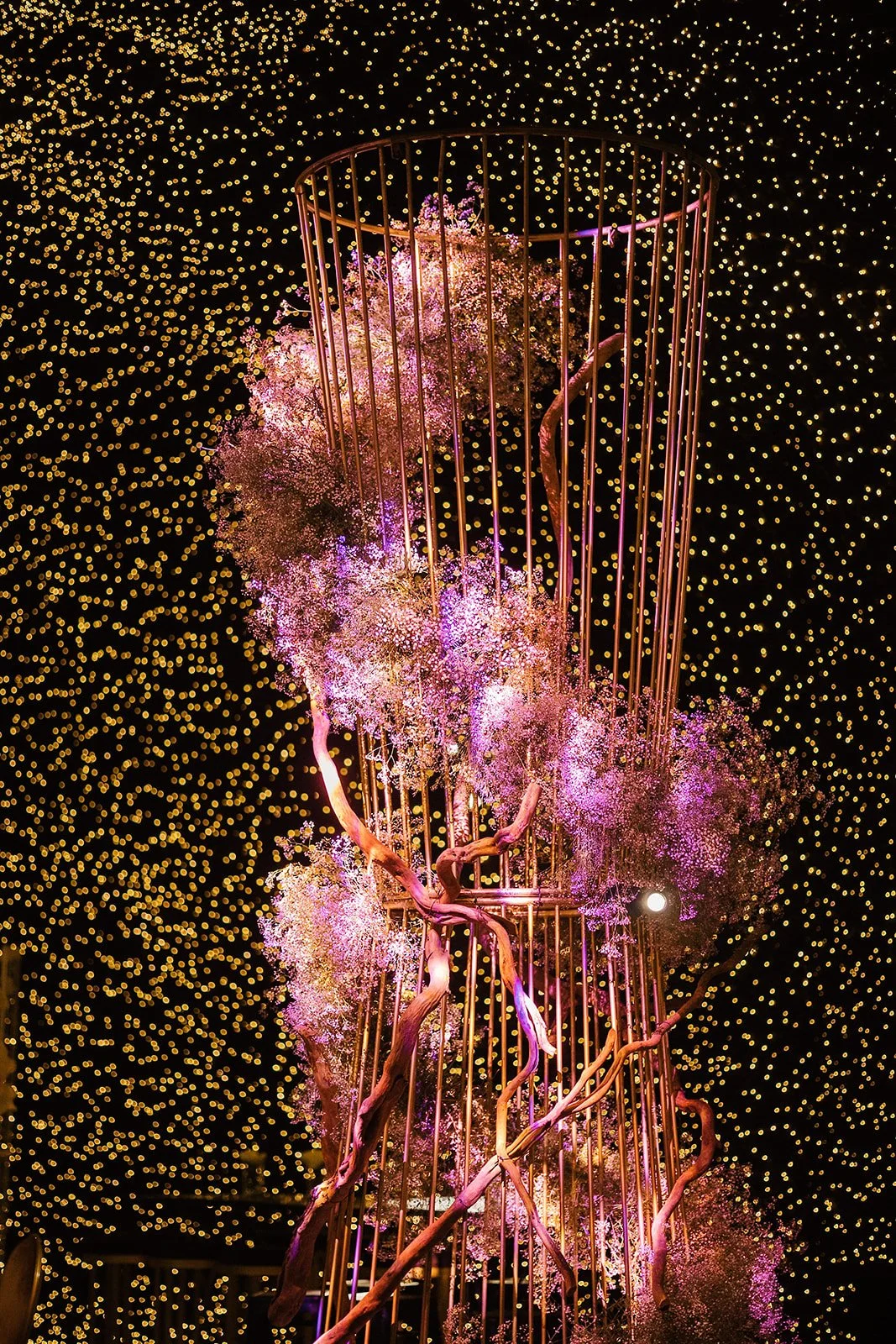 Montaje Iran - 0185.jpg