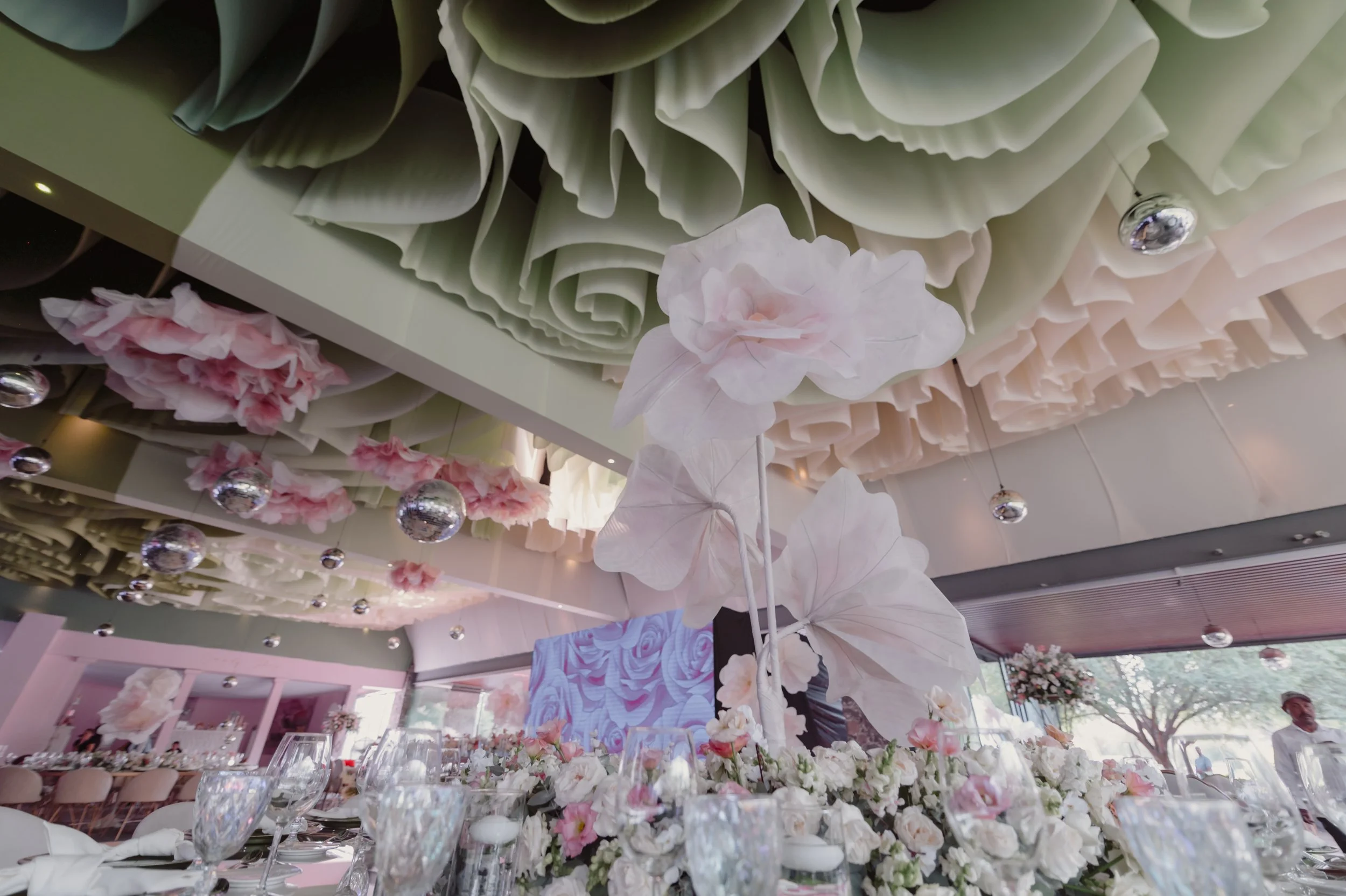 SMF_0129.jpg
