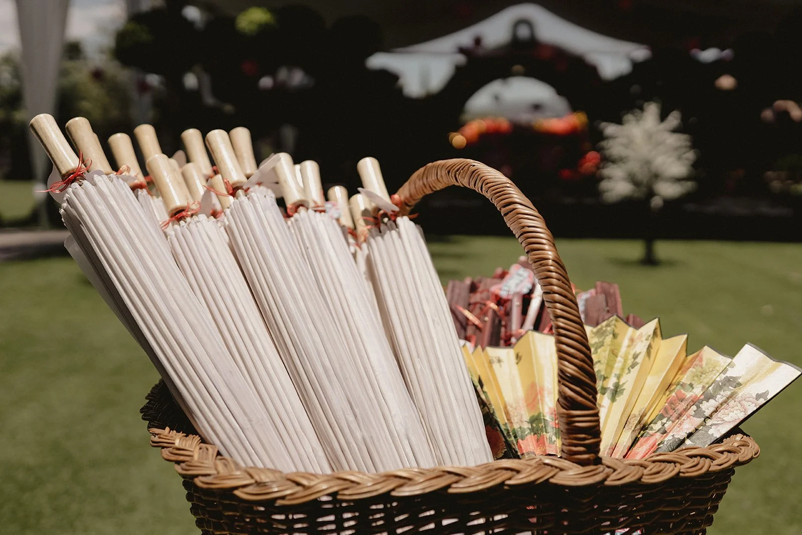 Montaje Iran __ 2022-06-03 __ 00019.jpg