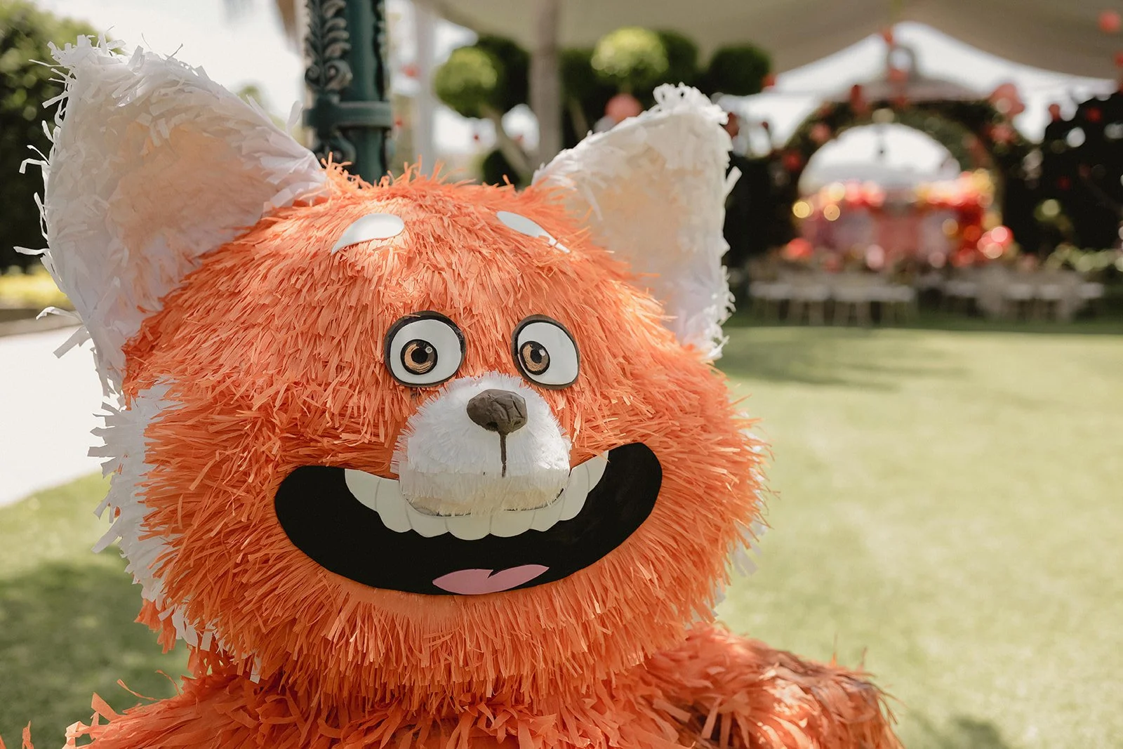 Montaje Iran __ 2022-06-03 __ 00029.jpg