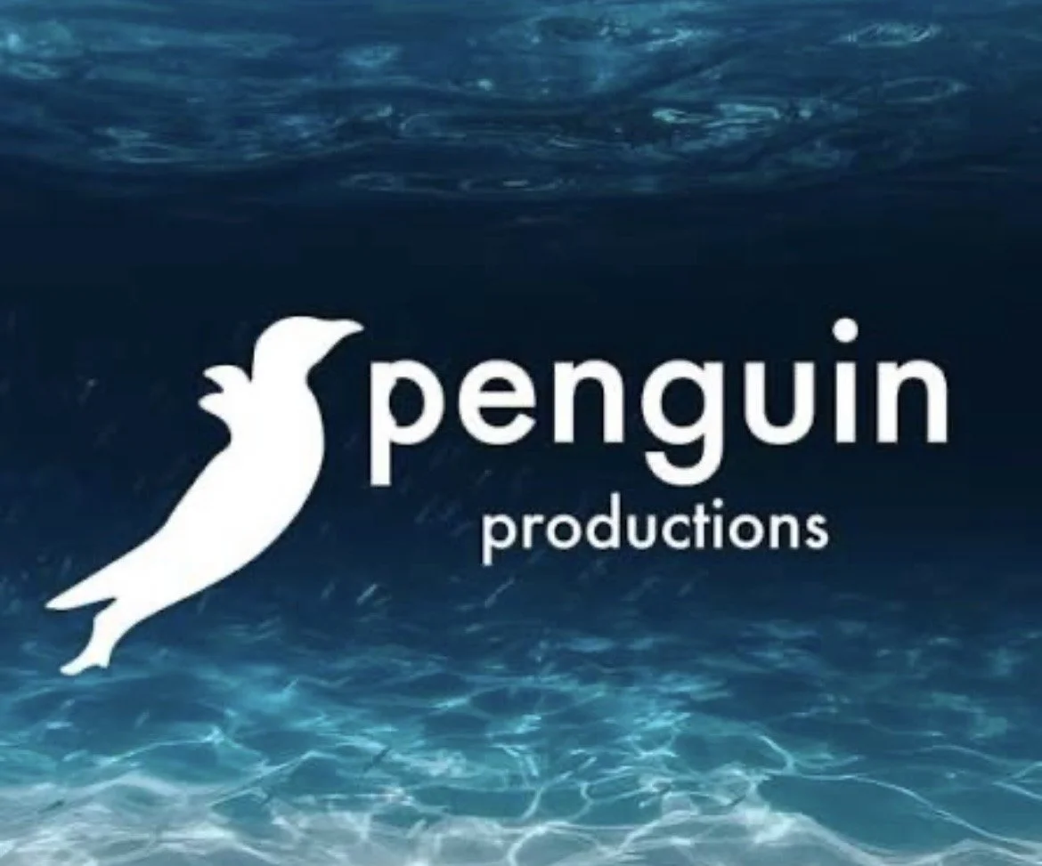 Penguin Productions Presents: Project Playground