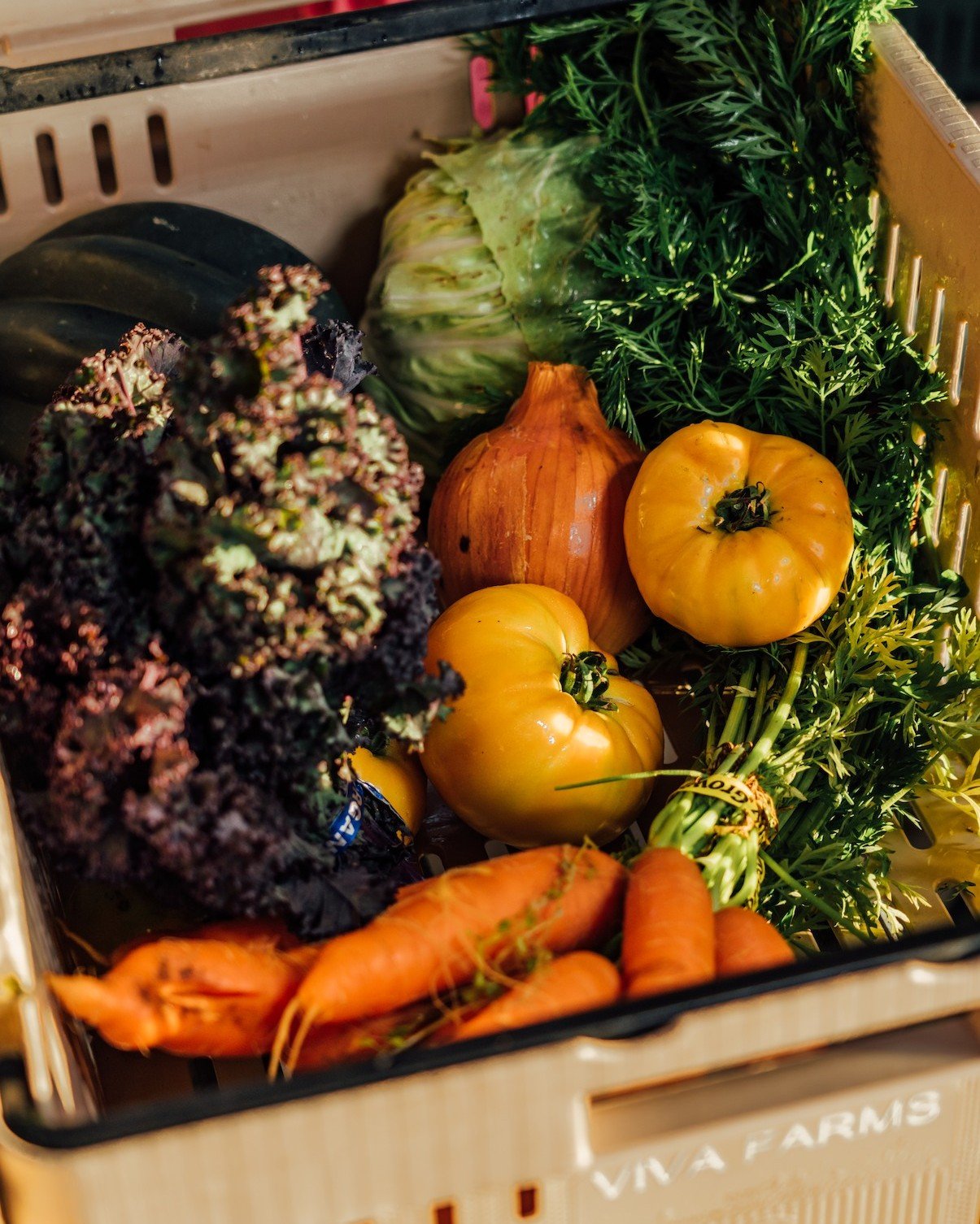 Fresh from the farm to our neighborhood 🌿✨ UHeights is a @vivafarms CSA pick-up spot for 2026,  24 weeks of certified organic goodness from June&ndash;November, starting at $26/box.

Your subscription = real support for beginning farmers growing rea