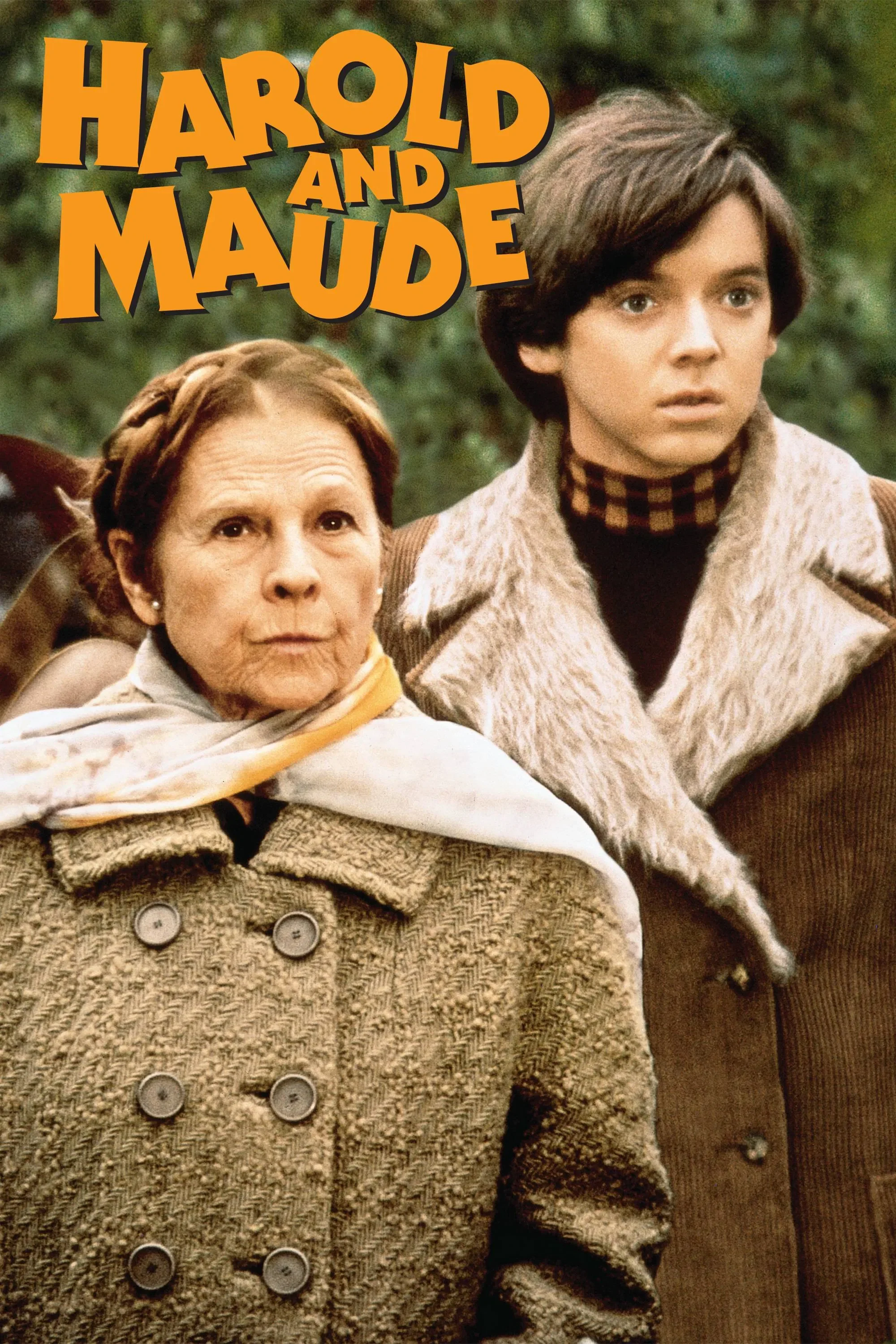 Movie Night: Harold and Maude