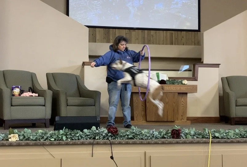 Zoey jumping.jpg