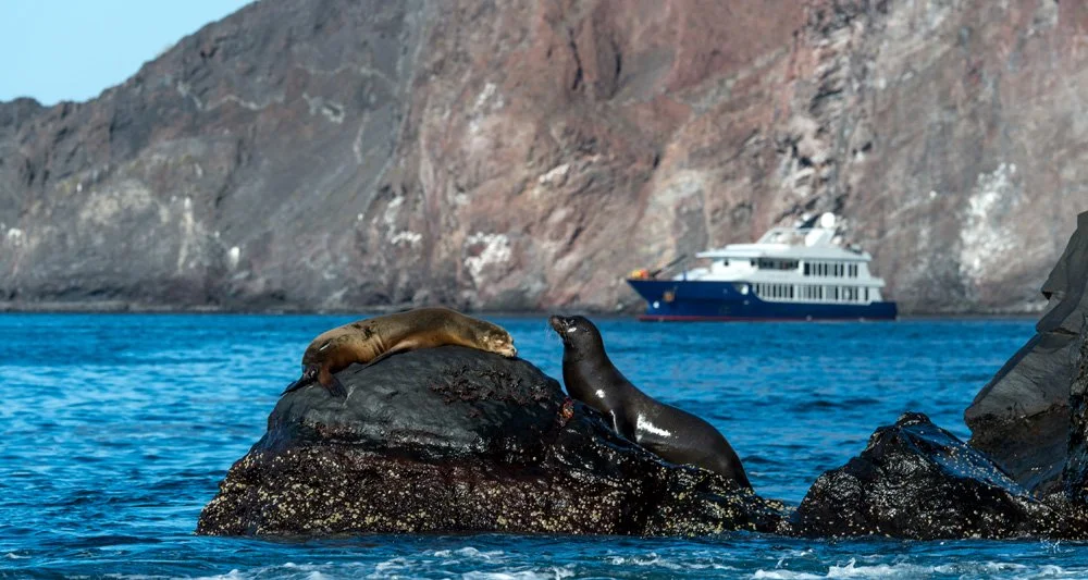 How LATAM Countries are Reopening