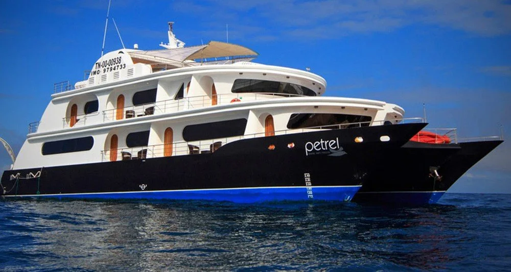 Petrel Galapagos Yacht Promotion! Up to $750 Off Rates