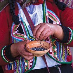 peru-galagagos-14.jpg
