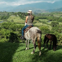 Hacienda-Bambusa-Horseback-riding-01.jpg