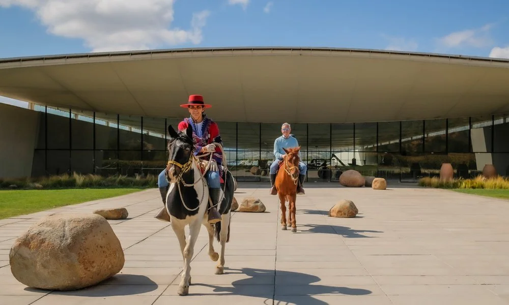 South America's Wine Renaissance: Why Vik winning he World's Best Vineyard 2025 signals a Continental Shift