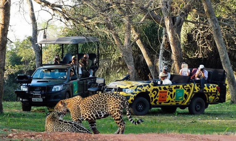 Caiman Lodge Celebrates 40 Years and Unveils Villa Cordilheira