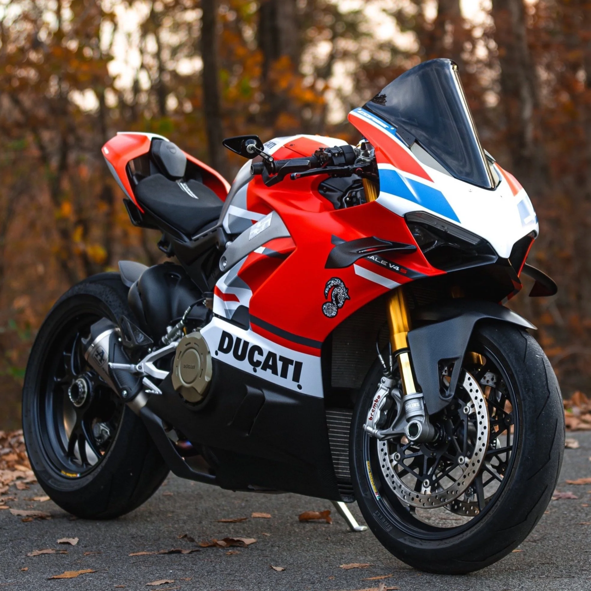 2024-11-17_YogiR1Vette_NachezBikePics-03.jpg
