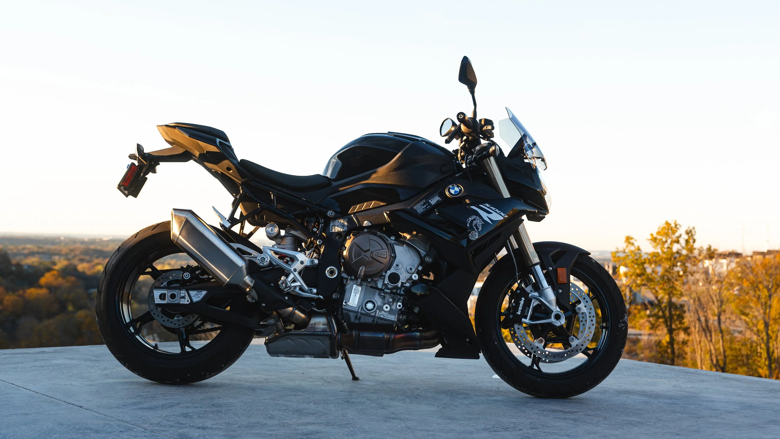 2024-11-12_Yogi_BikePics-23.jpg