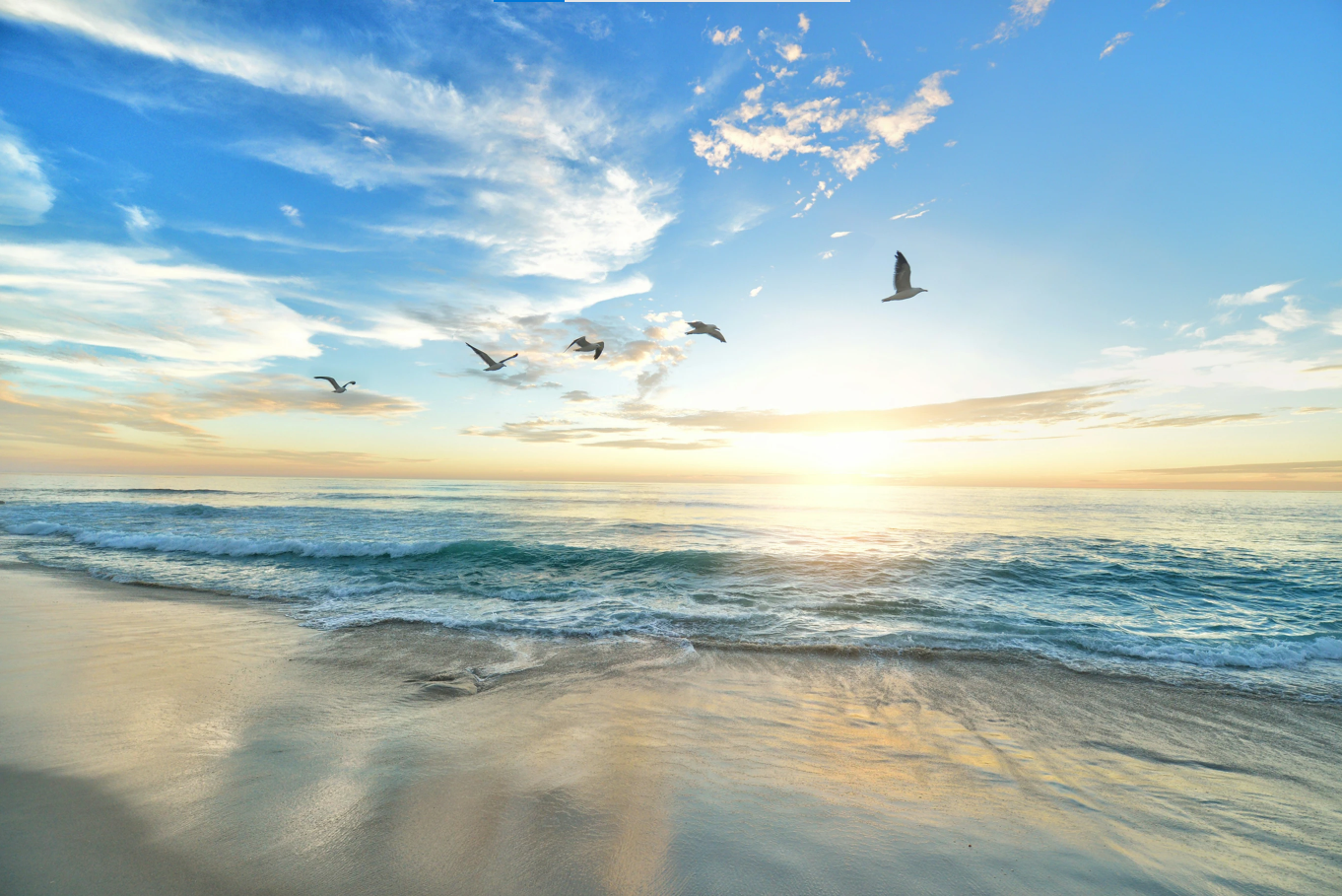 Best Beach Towns to Invest in Oaxaca Real Estate