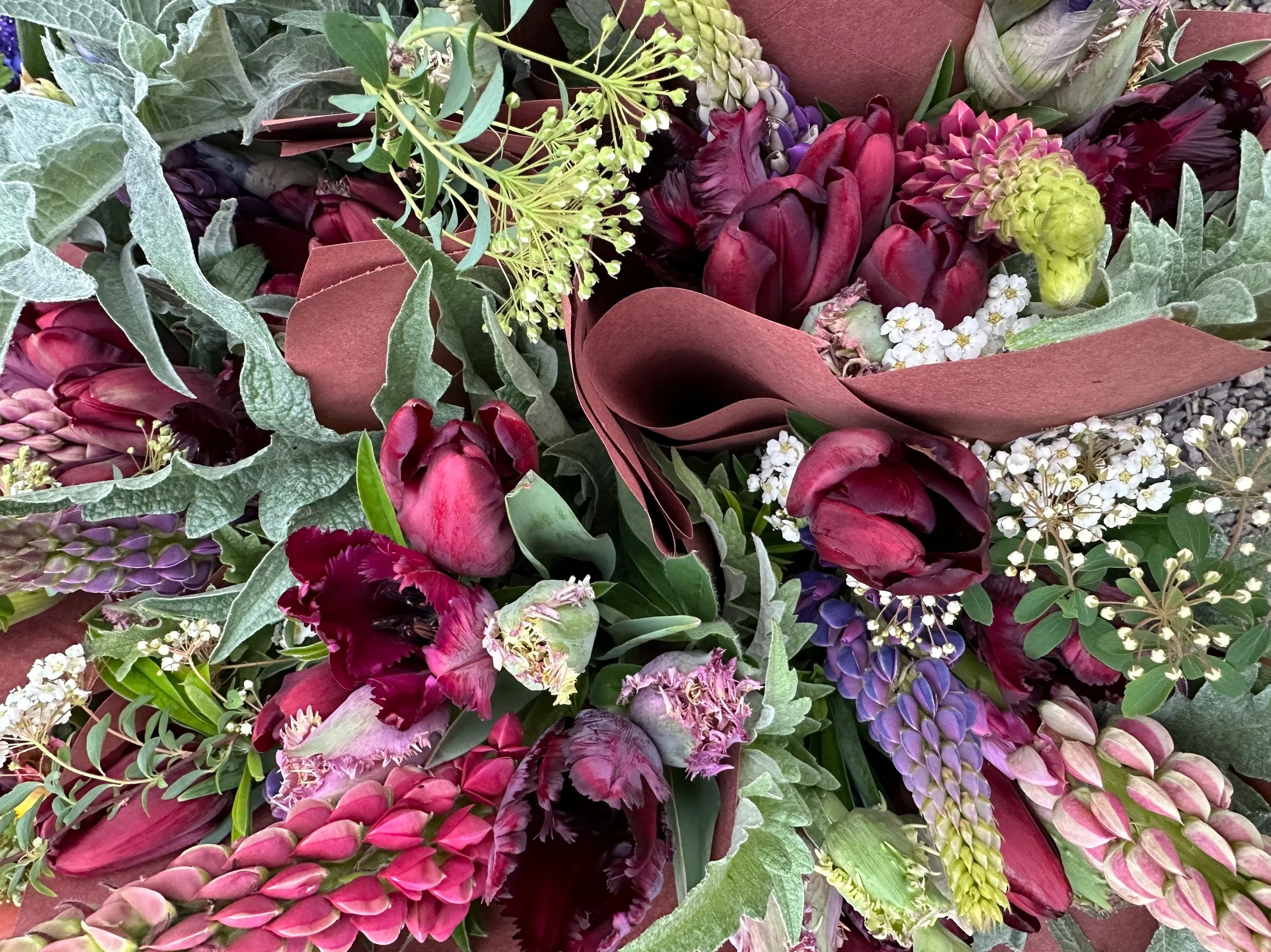 Spring Forth Flockers