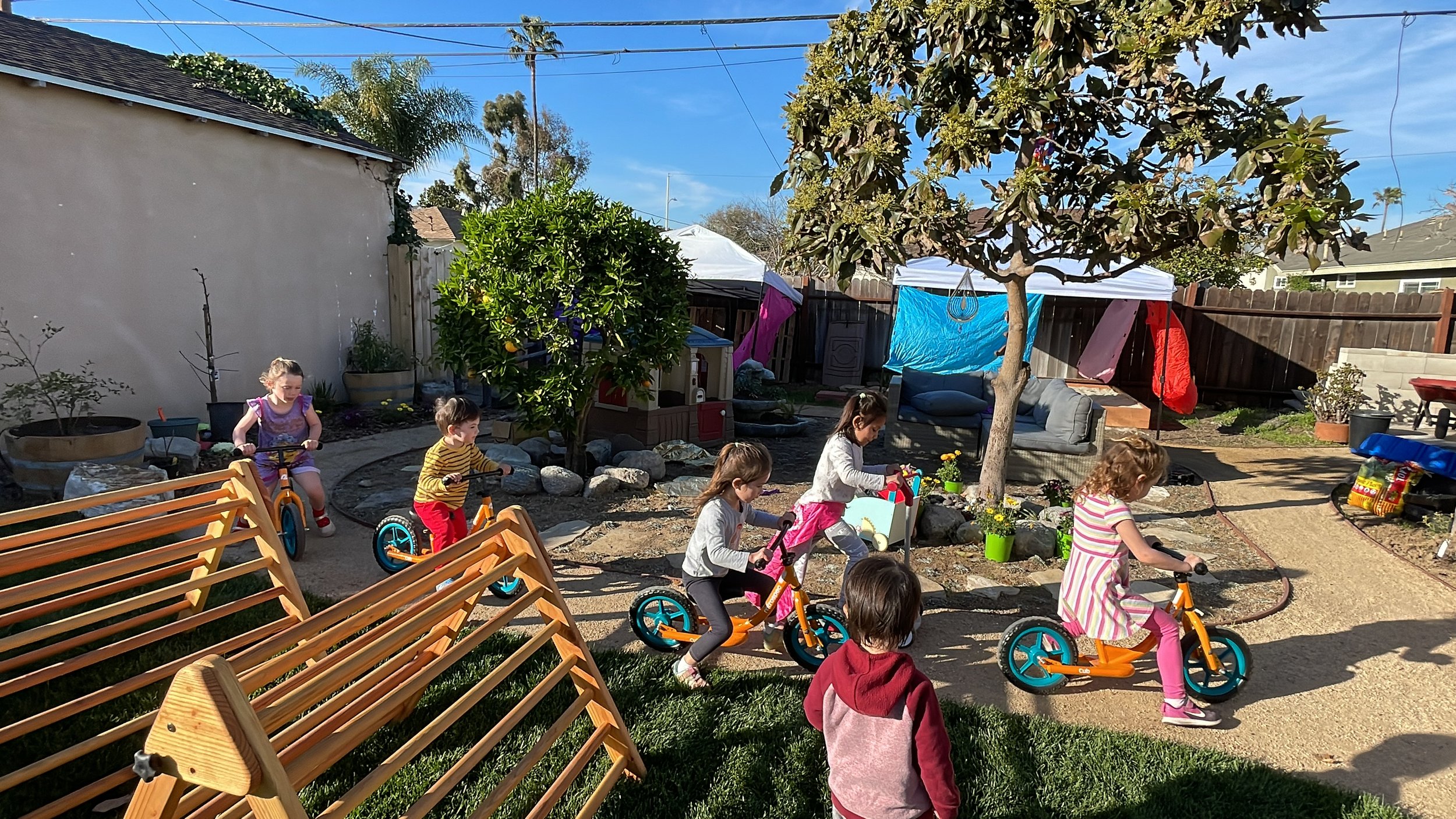 Children riding orange and teal balance bikes and tricycles in a backyard with trees, plants, and a shaded seating area.