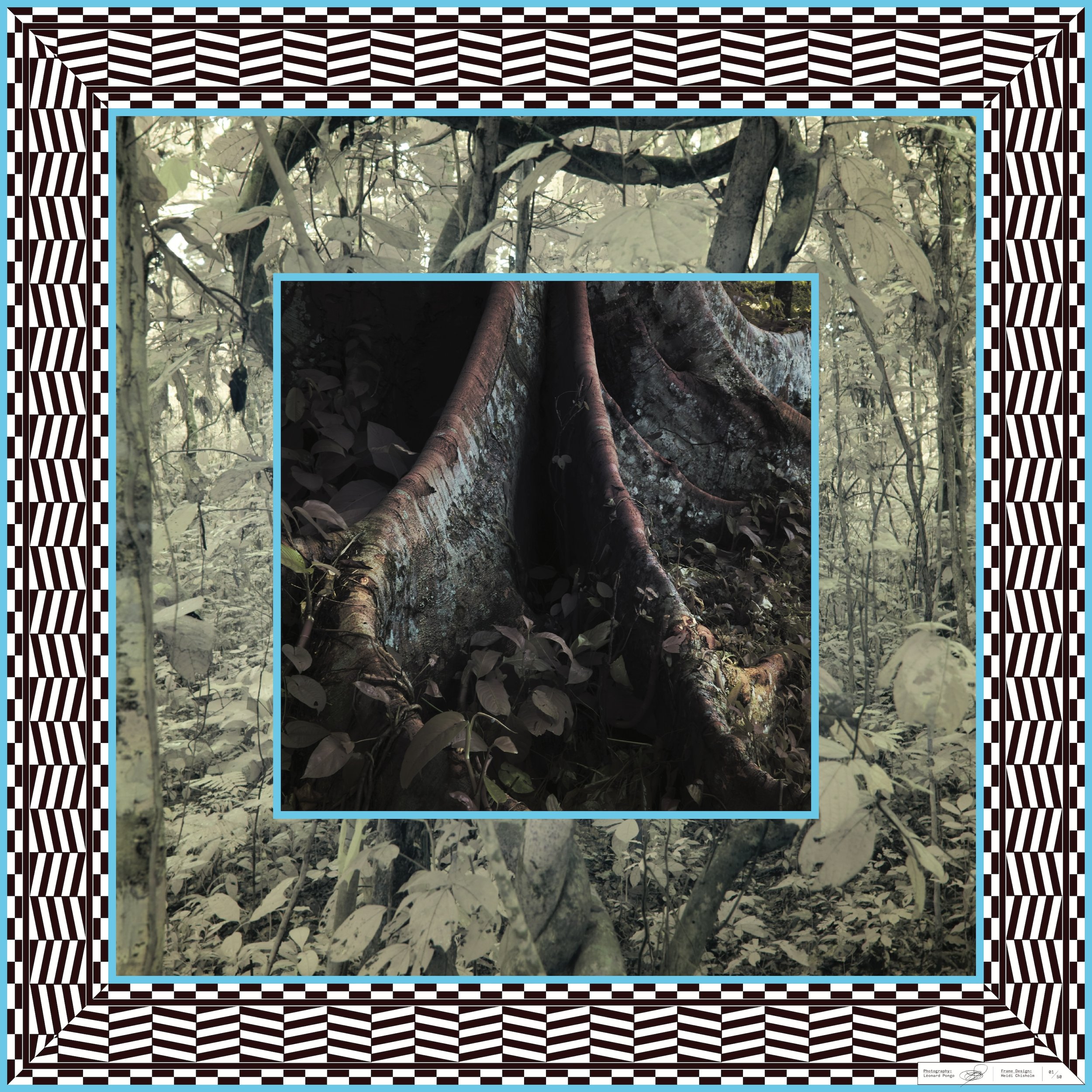 Scarf2.jpg