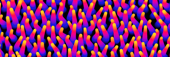 Chill_SeaAnemone_575.gif