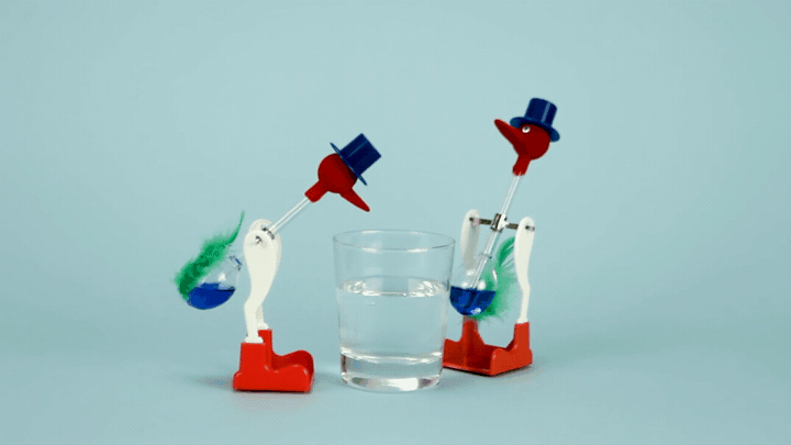 Ep3_DrinkingBirds.gif