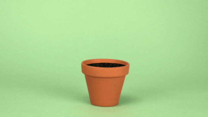Ep4_PottedPlant.gif