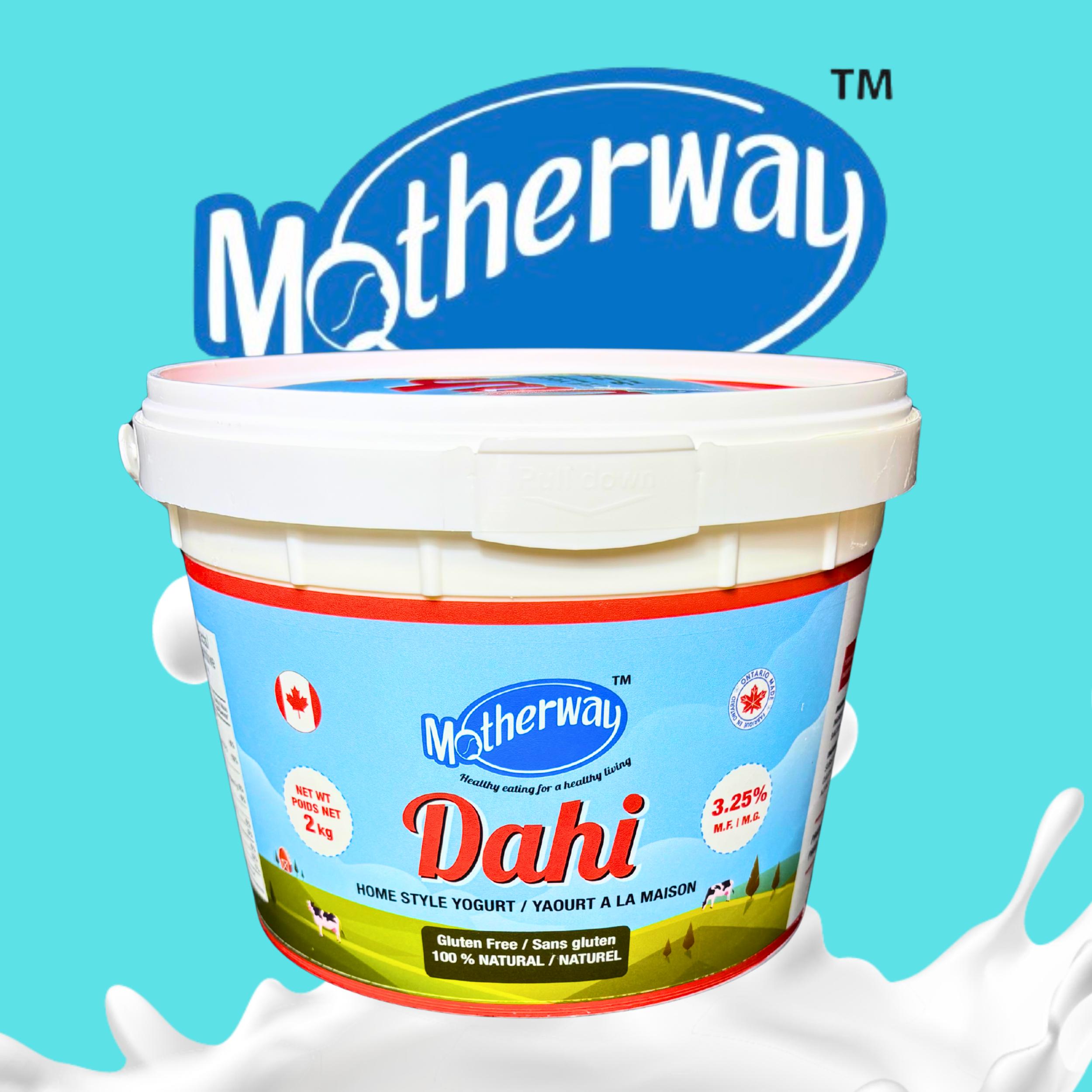 Dahi 3.25%
