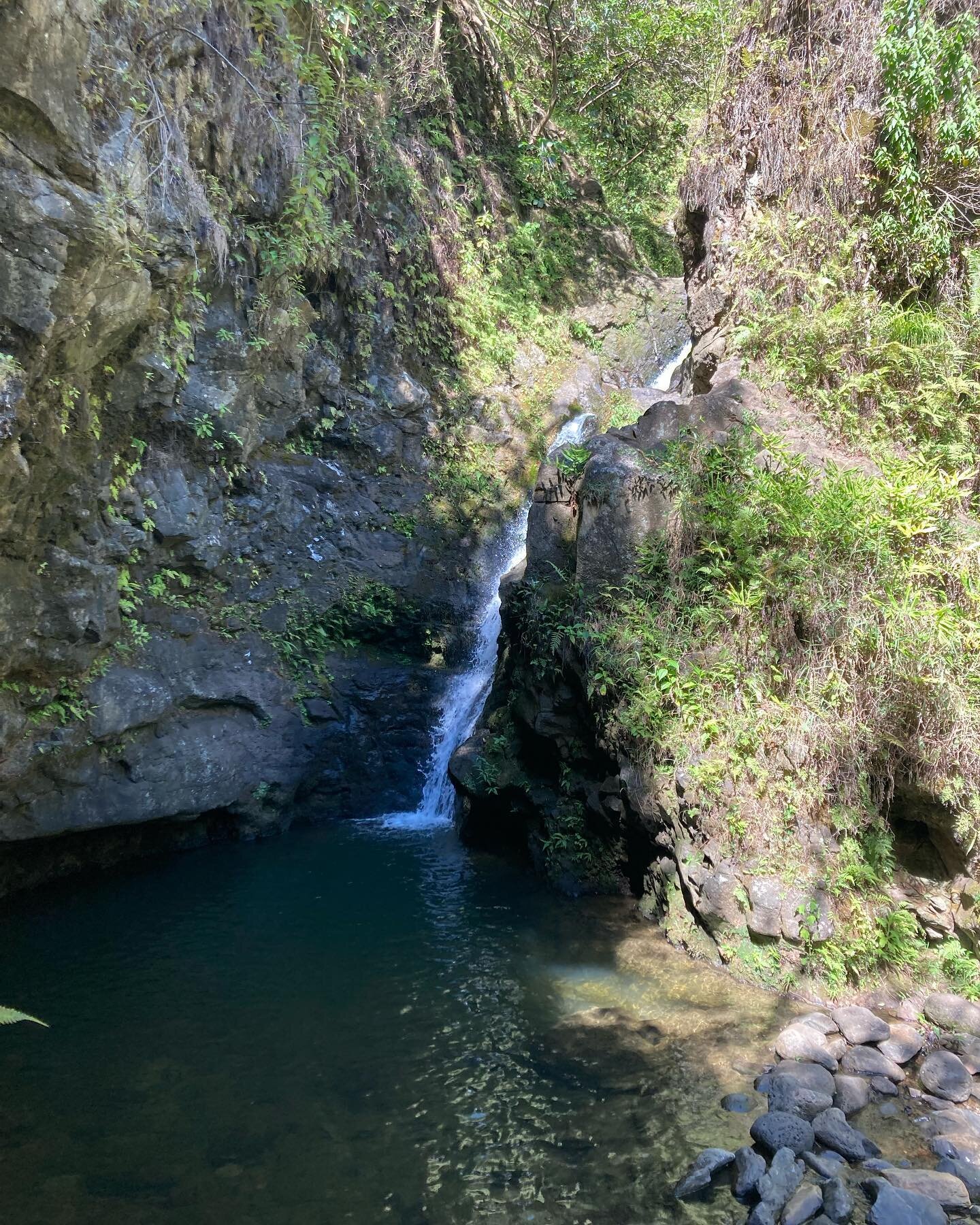 What we do on our day off! Hiking and having a fun time. 

#hiking #maui #mauifishnchips #familyowned #waterfalls #adventure #cometryit #hawaii #beautiful