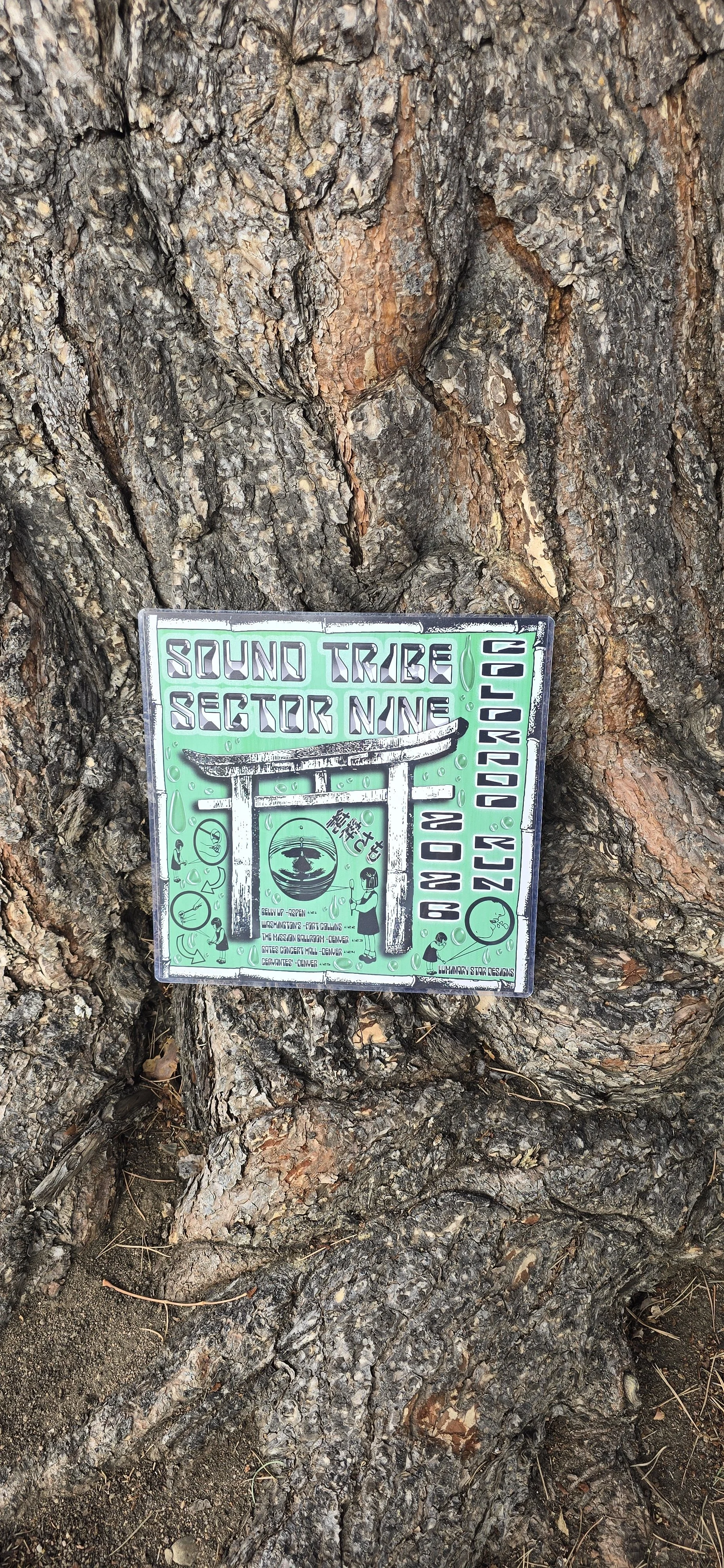 purity too poster on tree.jpg