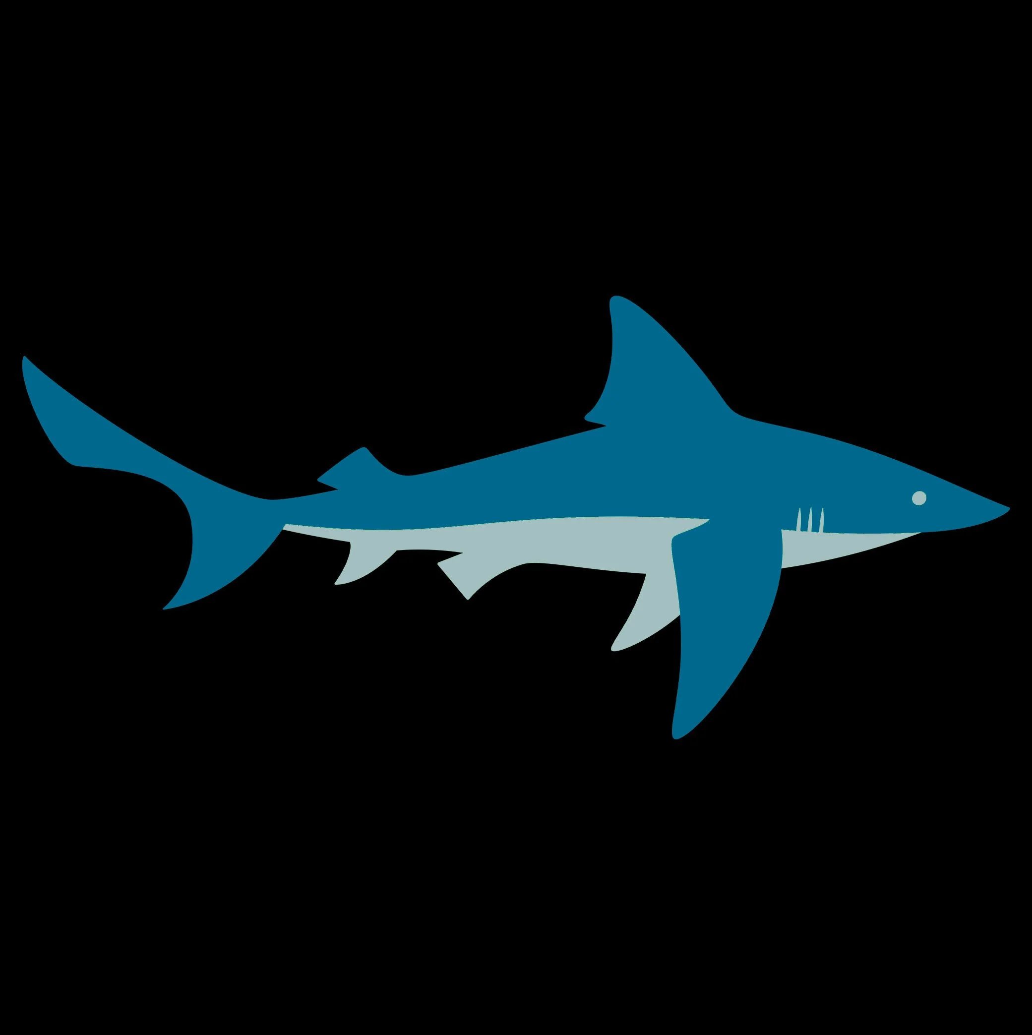 Shark_Sweater.jpg