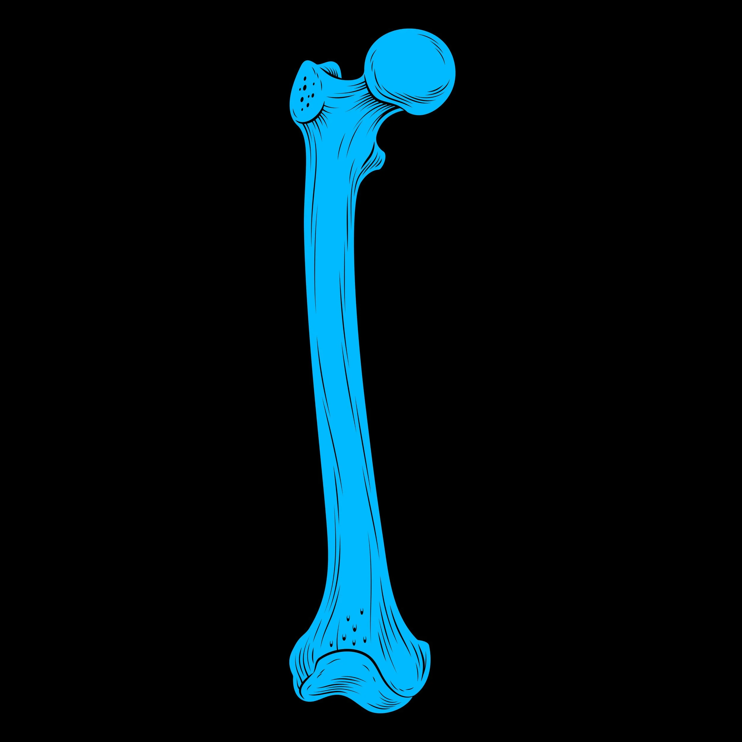 Anatomy_Femur_Blue_Design.jpg