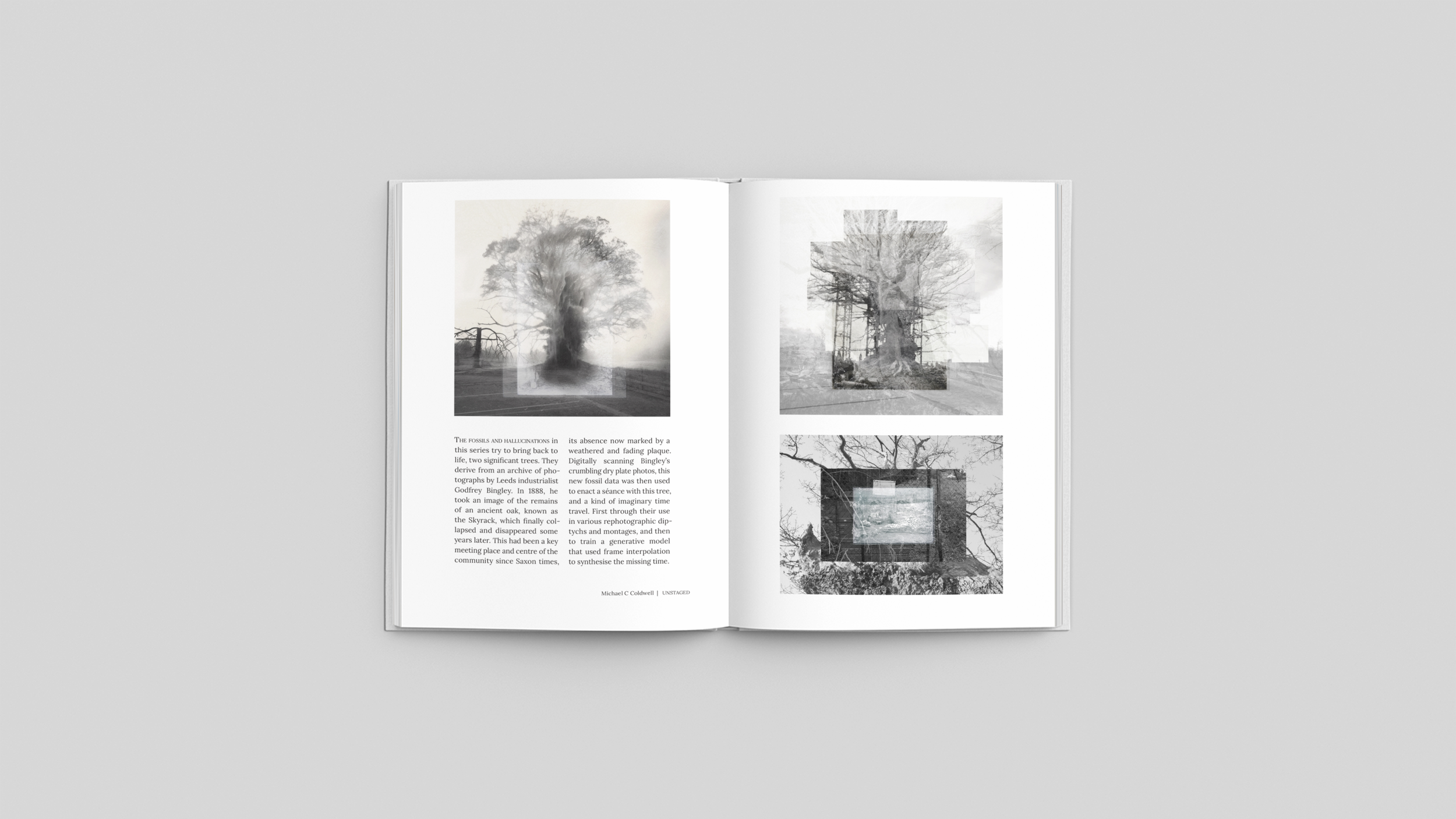 Time Fossils by Michael C Coldwell - Ghosts in the Archive photobook