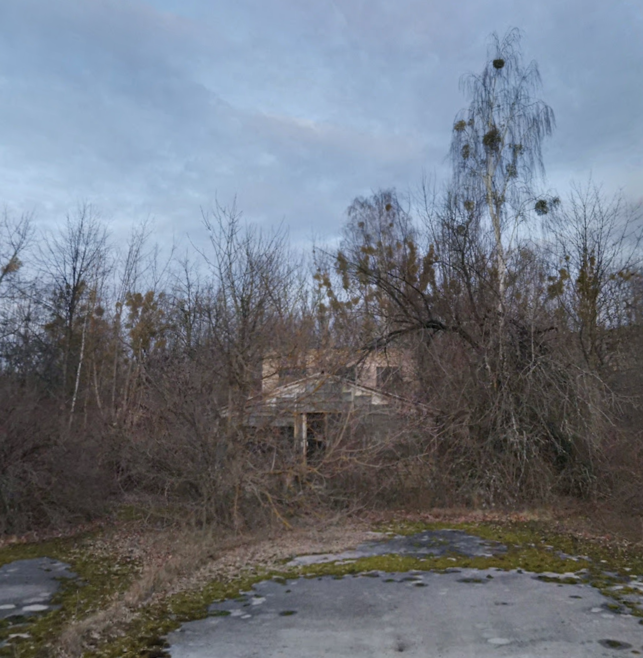 Screenshot 2022-02-11 at 22.19.58.png